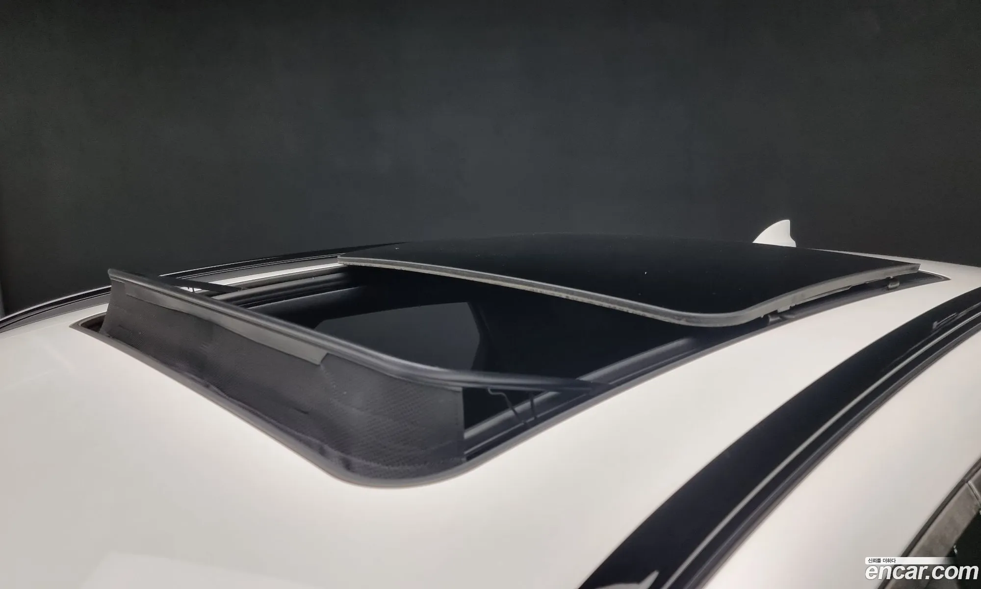 Korex Auto Trade - фотография 399750
