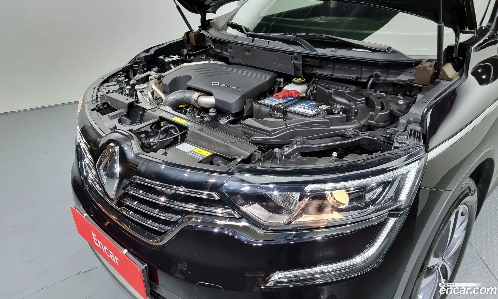Renault Samsung Qm6 Diesel 2Wd Re Plus 2017 - фотография 2399970