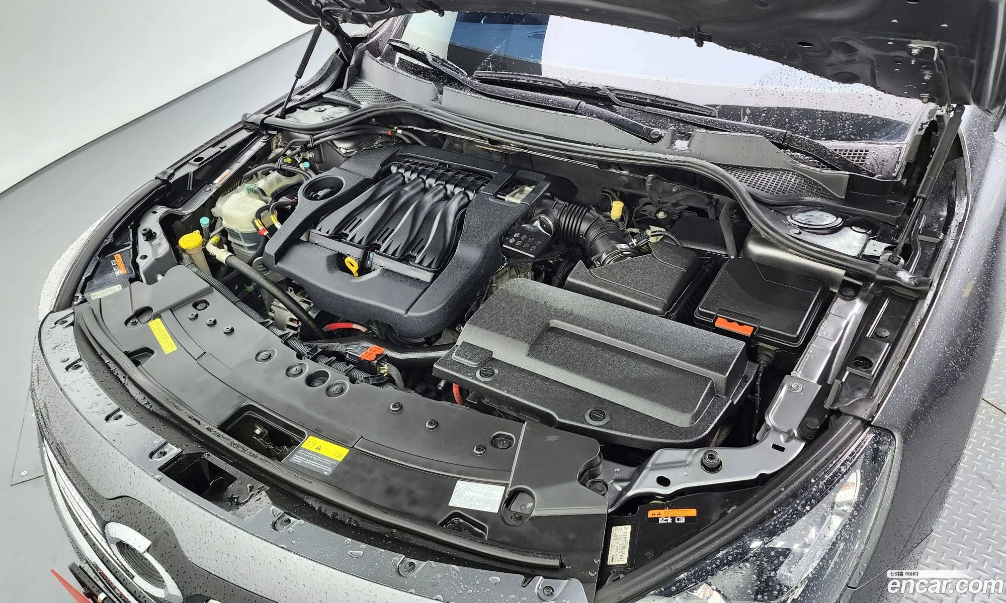 Renault Samsung Sm7 Lpli 20 Lpe For The Disabled 2018 - фотография 2580791