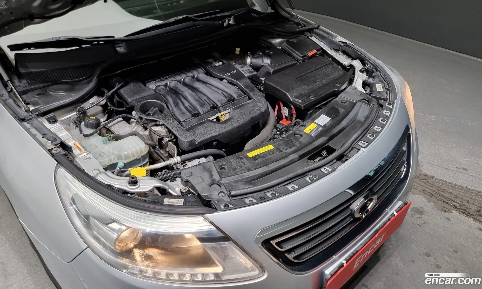 Renault Korea Samsung New Sm5 Platinum Le Basic Type - фотография 2606683