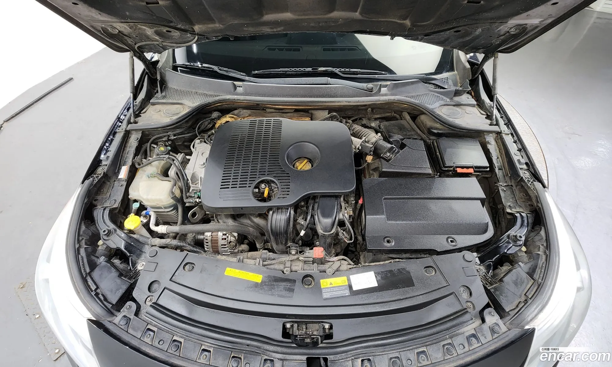 Renault Samsung Sm5 16Tce 2014 - фотография 2341326