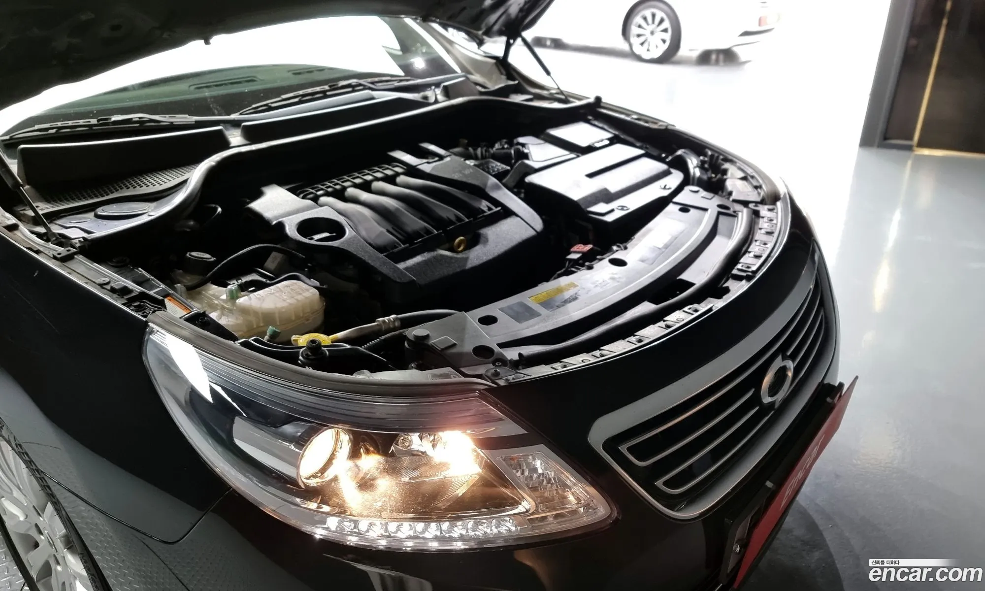 Renault Samsung Sm5 Le 2013 - фотография 2399922