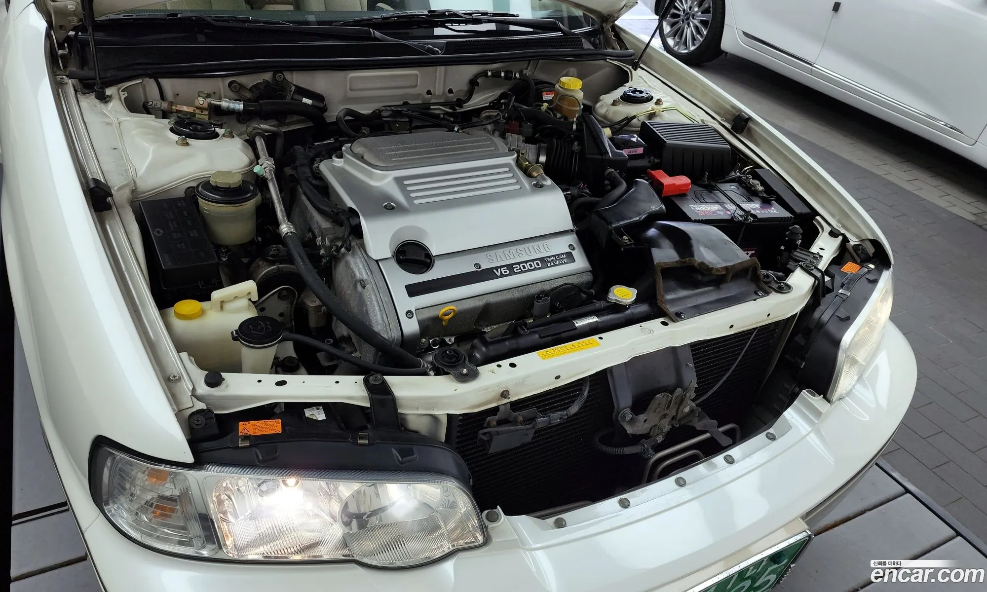 Renault Samsung Sm5 Sm520V Plus 2004 - фотография 2591828