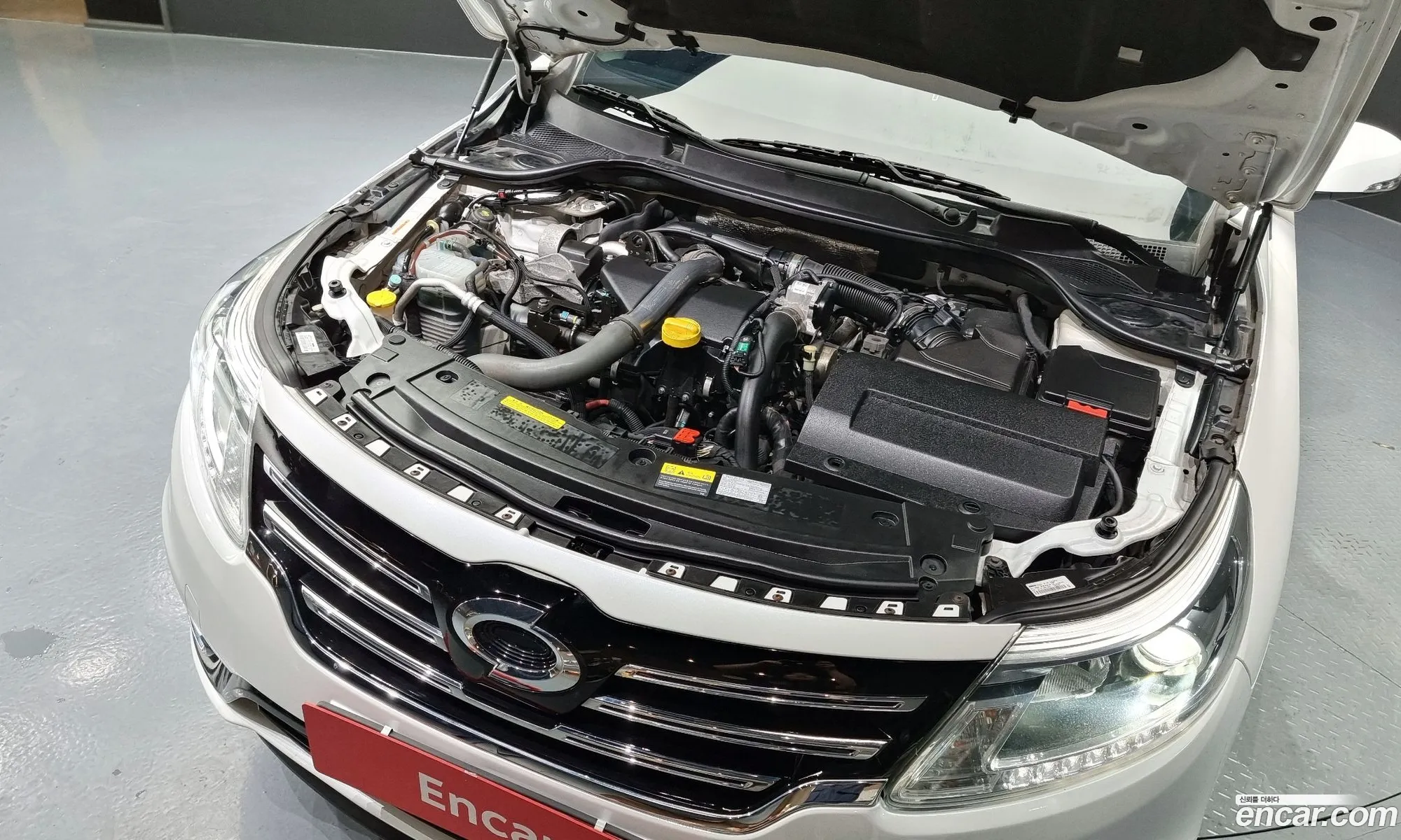 Renault Samsung Sm5 Diesel D Premium 2015 - фотография 2589474