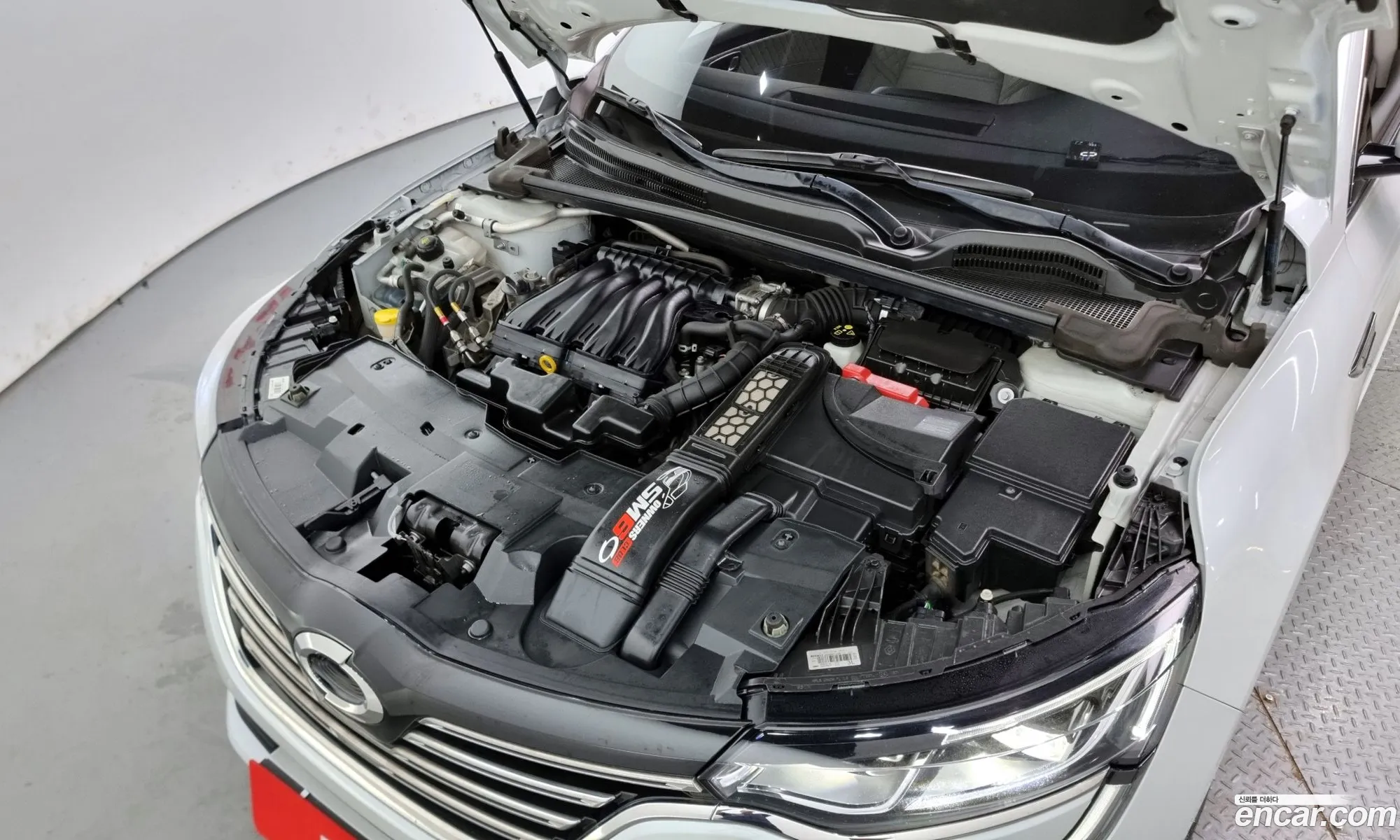 Renault Samsung Sm6 20 Lpe Re For The Disabled 2016 - фотография 2399909