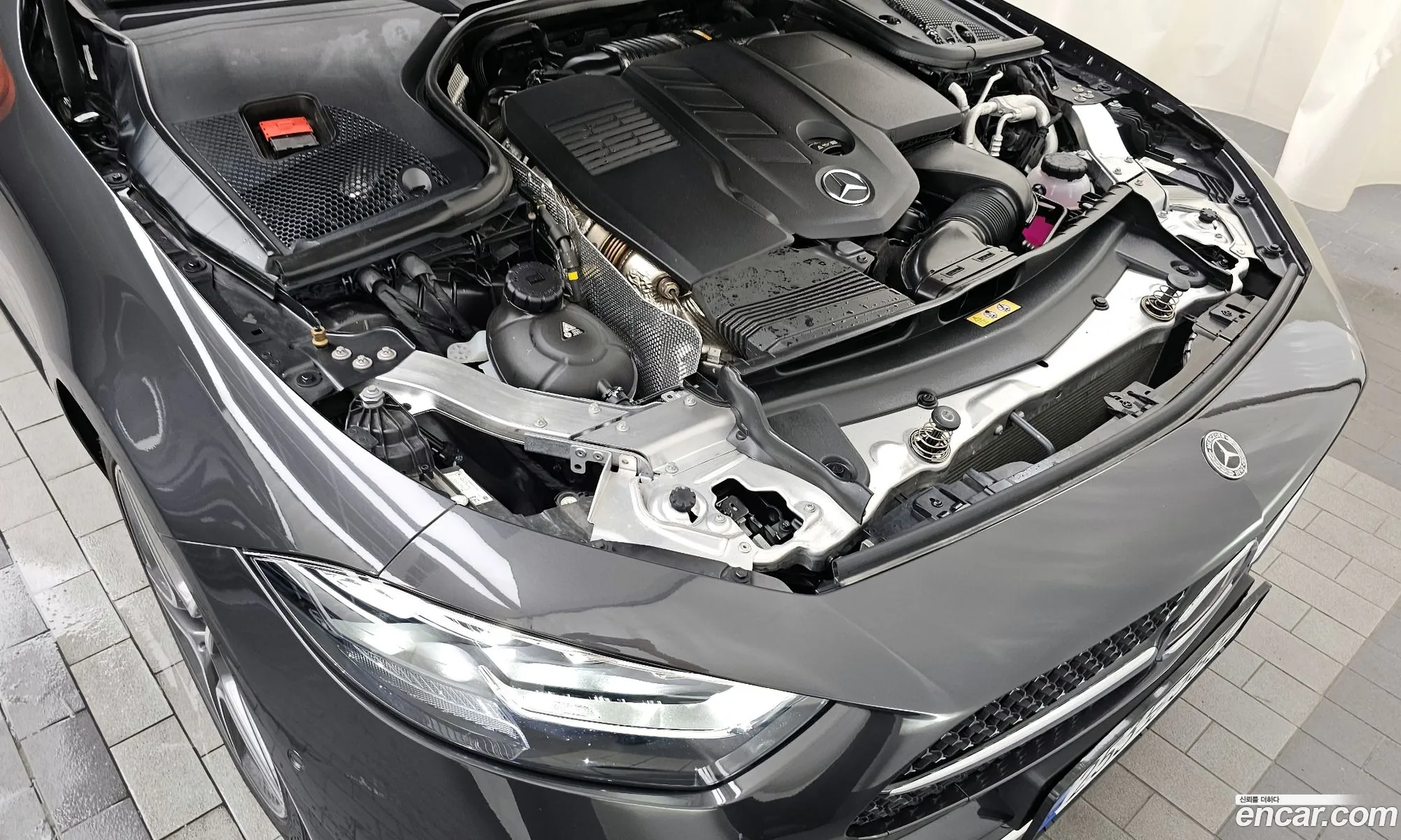 Mercedes-Benz Cls-Klasse Iii C257 Cls300D 4Matic 2022 - фотография 18507540