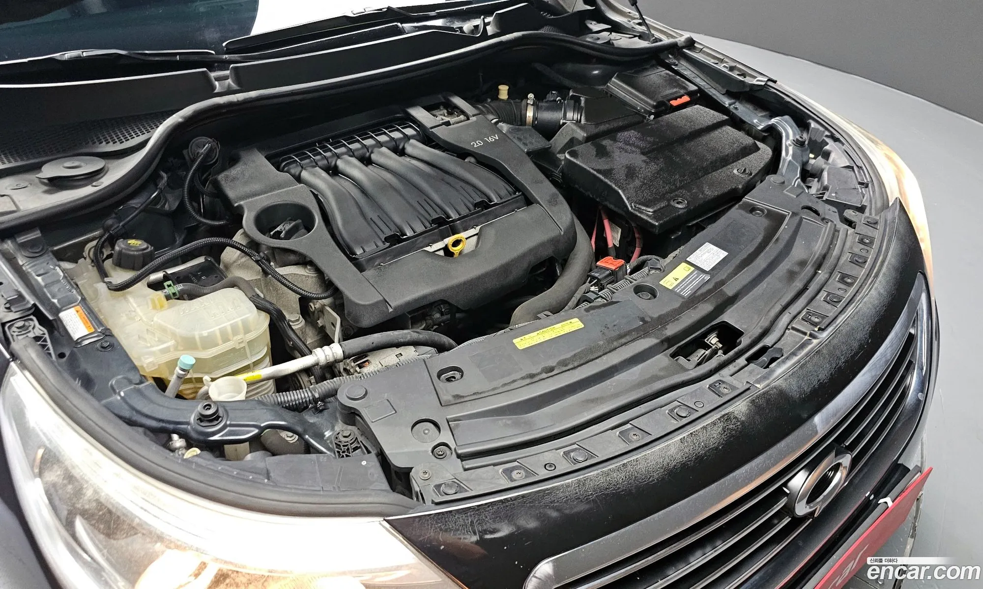 Renault Samsung Sm5 Se 2013 - фотография 2016951