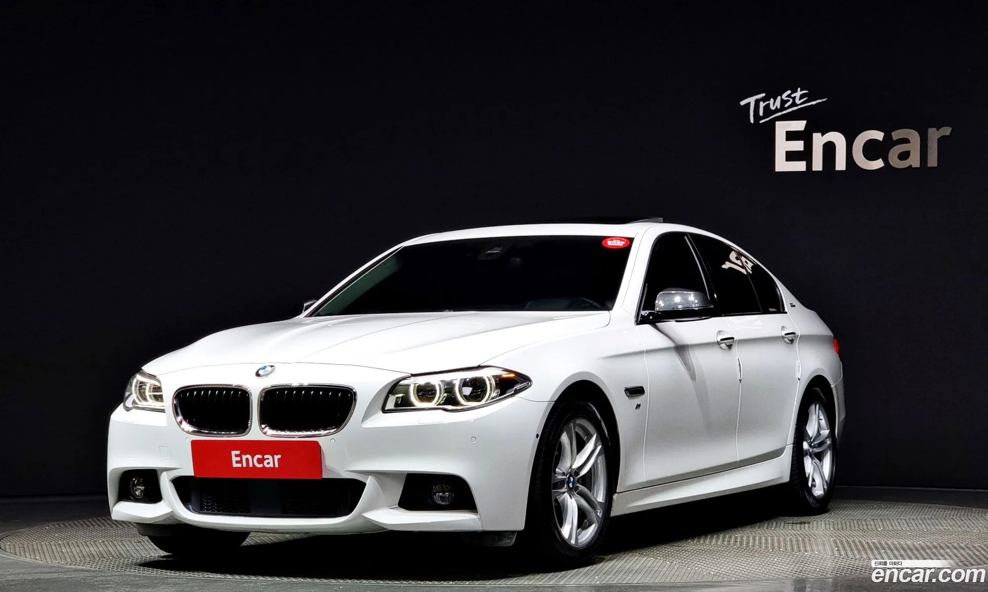 BMW 5Er 528I M Aerodynamics 2016 - фотография 15363108