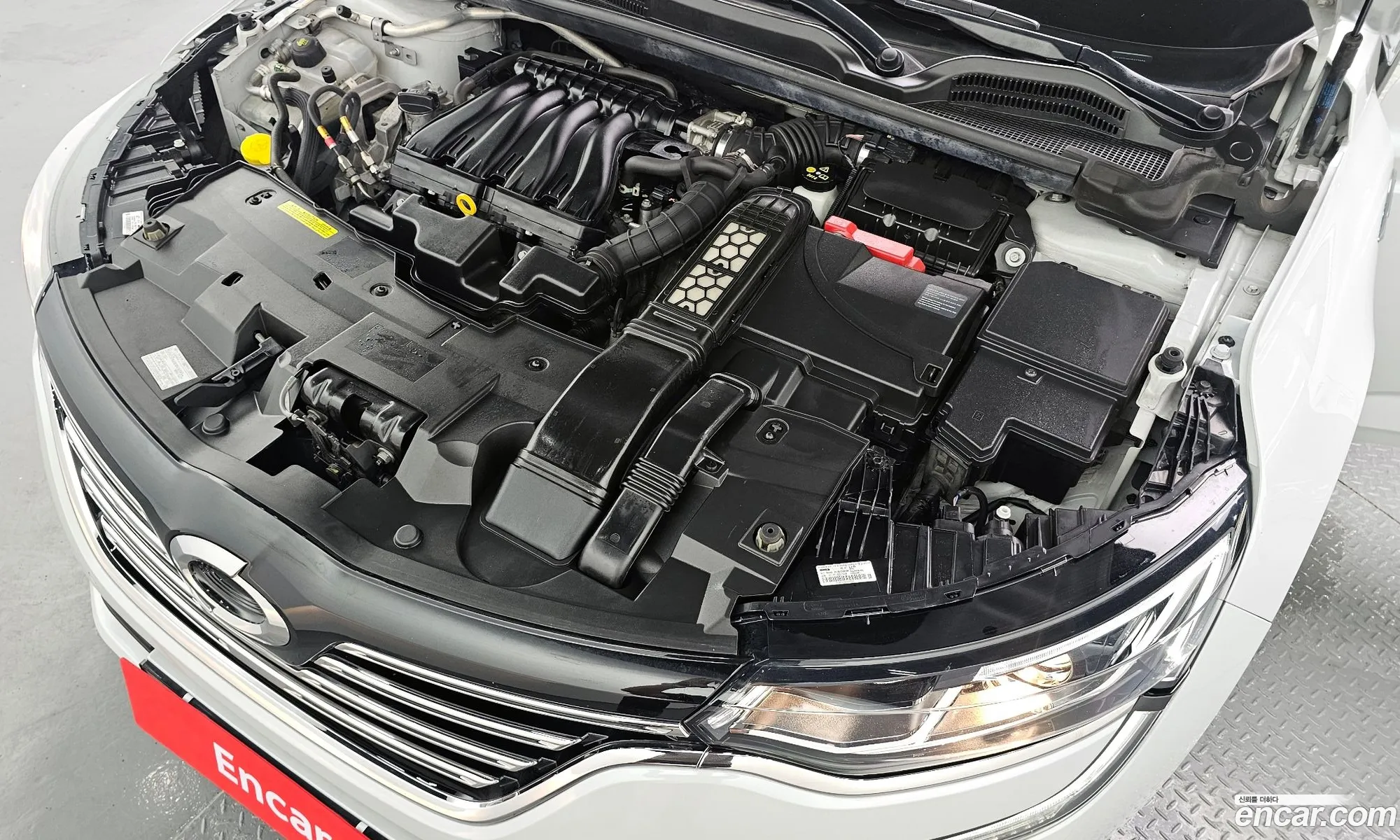 Renault Samsung Sm6 20 Lpe Re For The Disabled 2016 - фотография 2428124