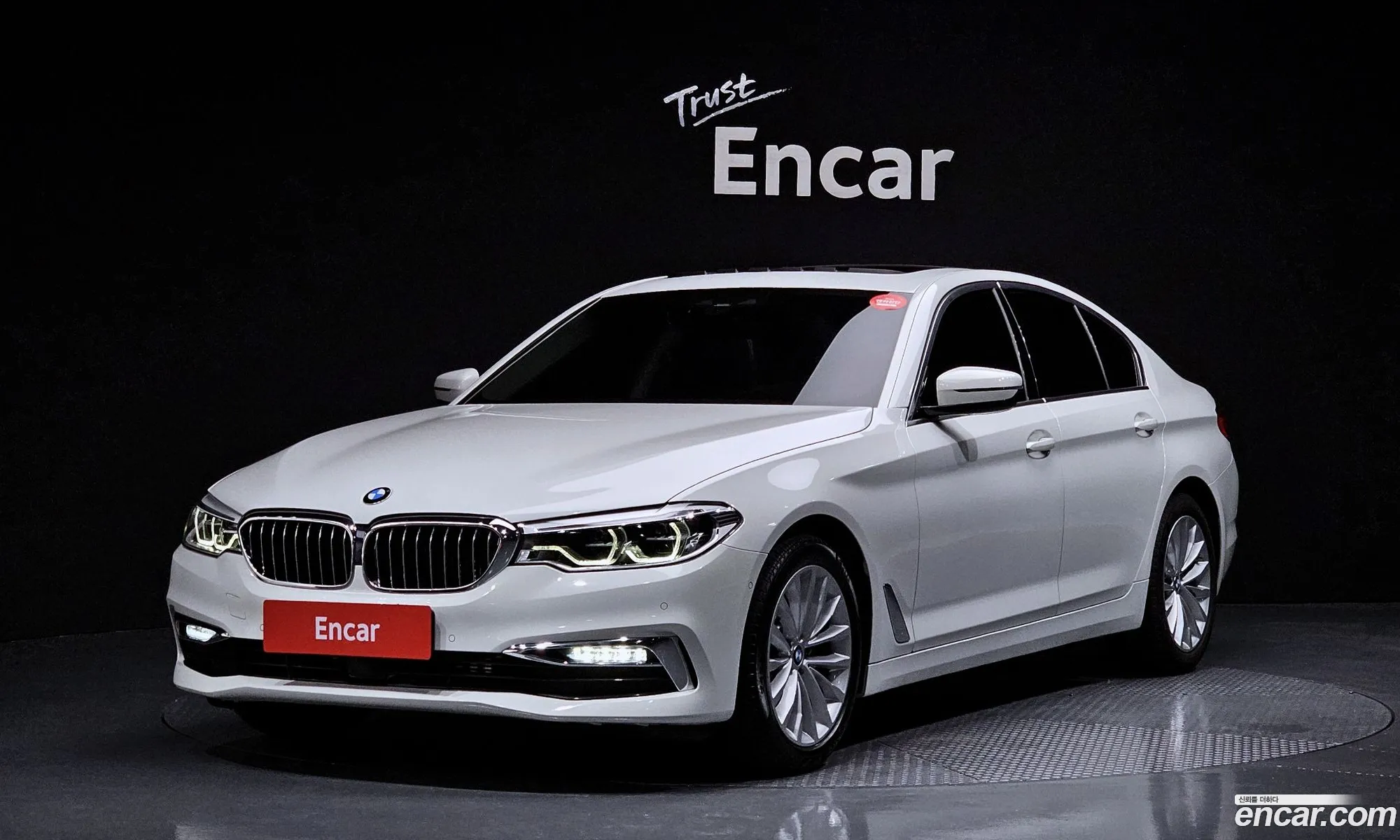 BMW 5Er Vii G30G31 520D Luxury Plus 2020 - фотография 15546121