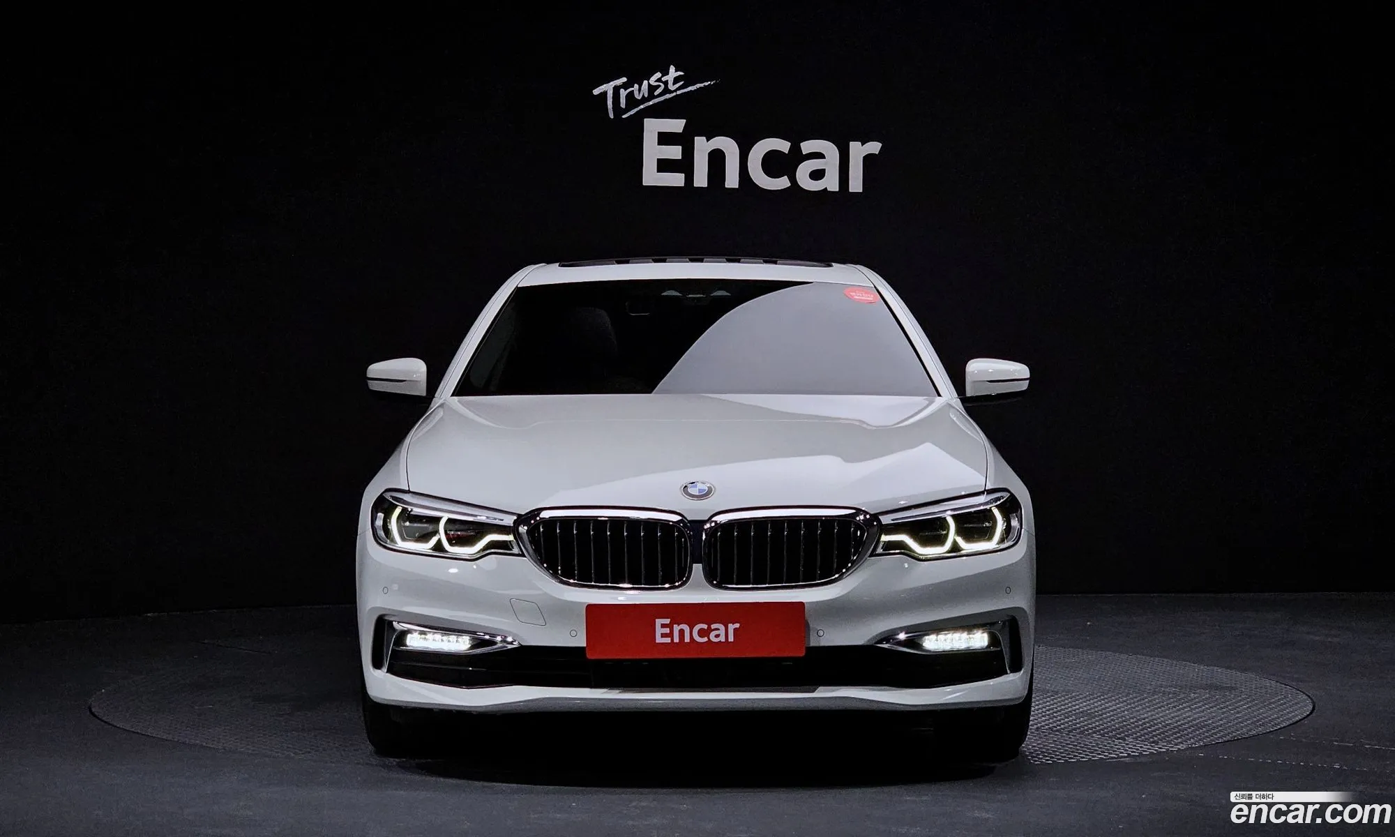 BMW 5Er Vii G30G31 520D Luxury Plus 2020 - фотография 15546123