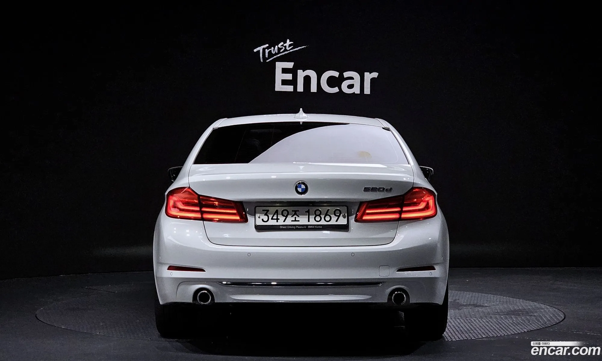 BMW 5Er Vii G30G31 520D Luxury Plus 2020 - фотография 15546124