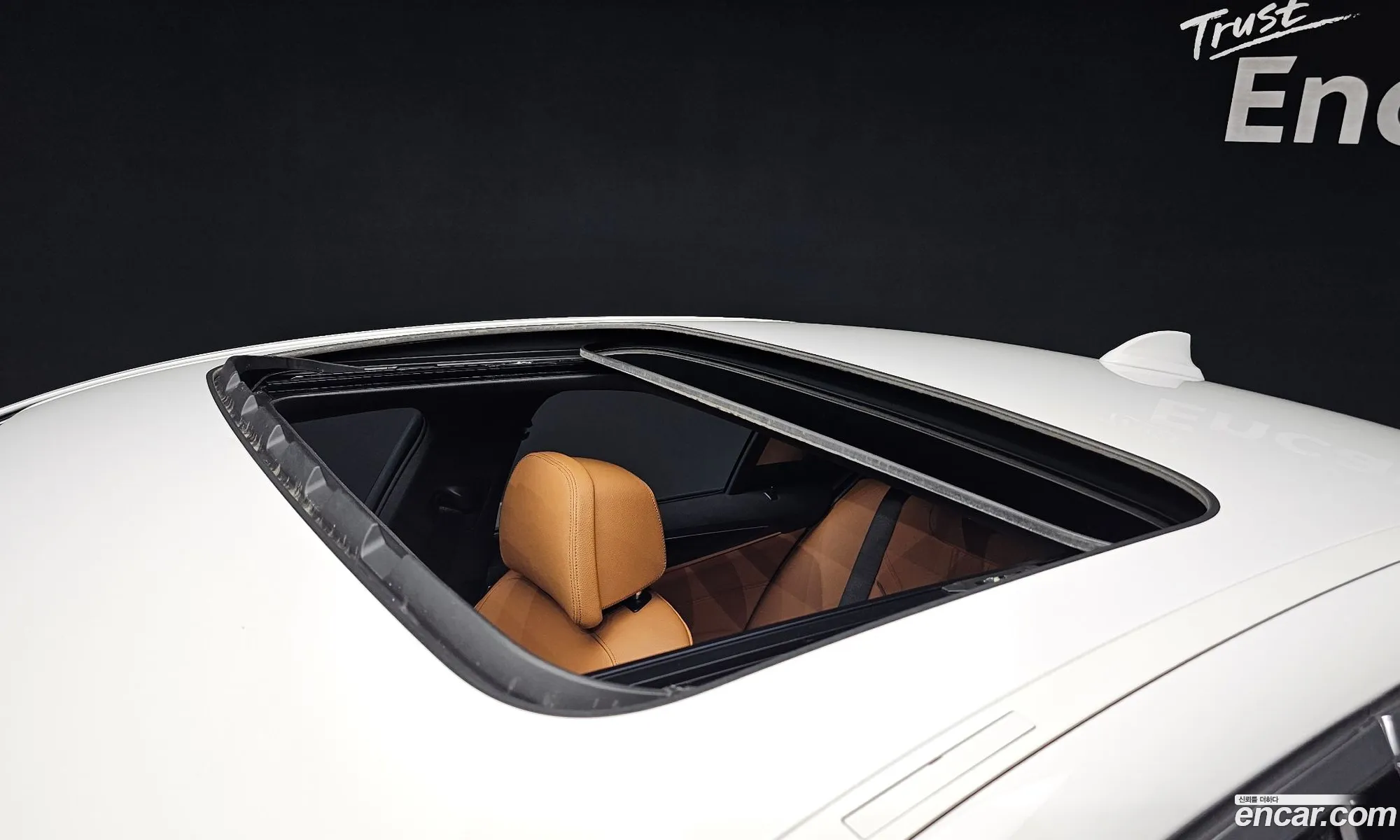 Korex Auto Trade - фотография 15556674