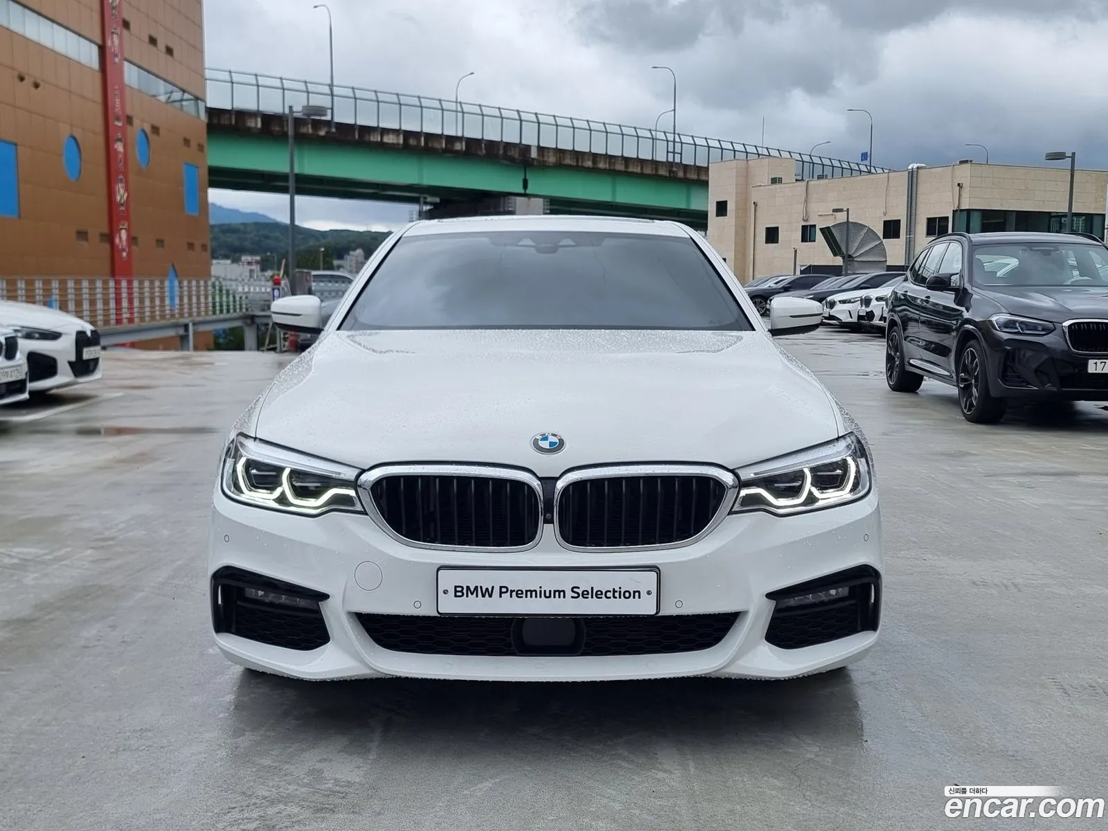 BMW 5Er Vii G30G31 520D xDrive M Sport Plus 2019 - фотография 15698986
