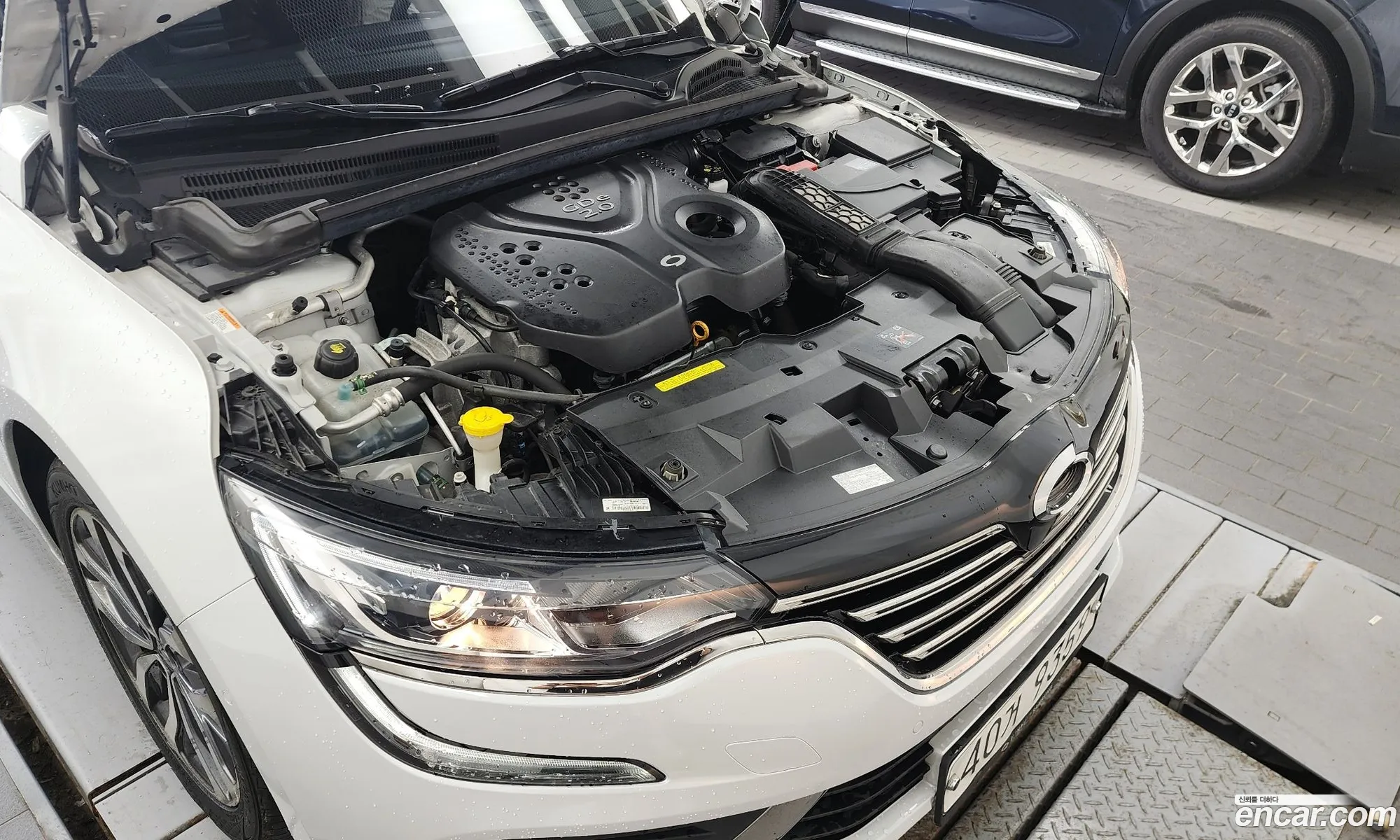 Renault Samsung Sm6 20Gdere 2017 - фотография 2083402