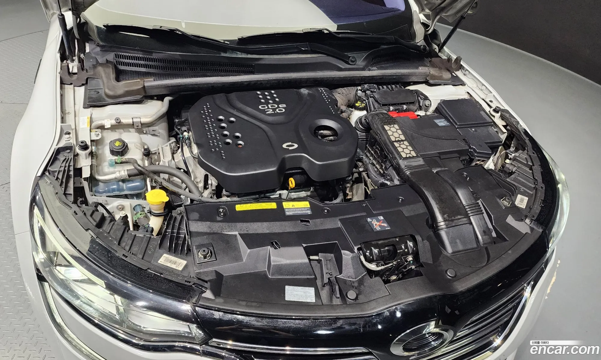 Renault Samsung Sm6 20Gdere 2016 - фотография 2069416