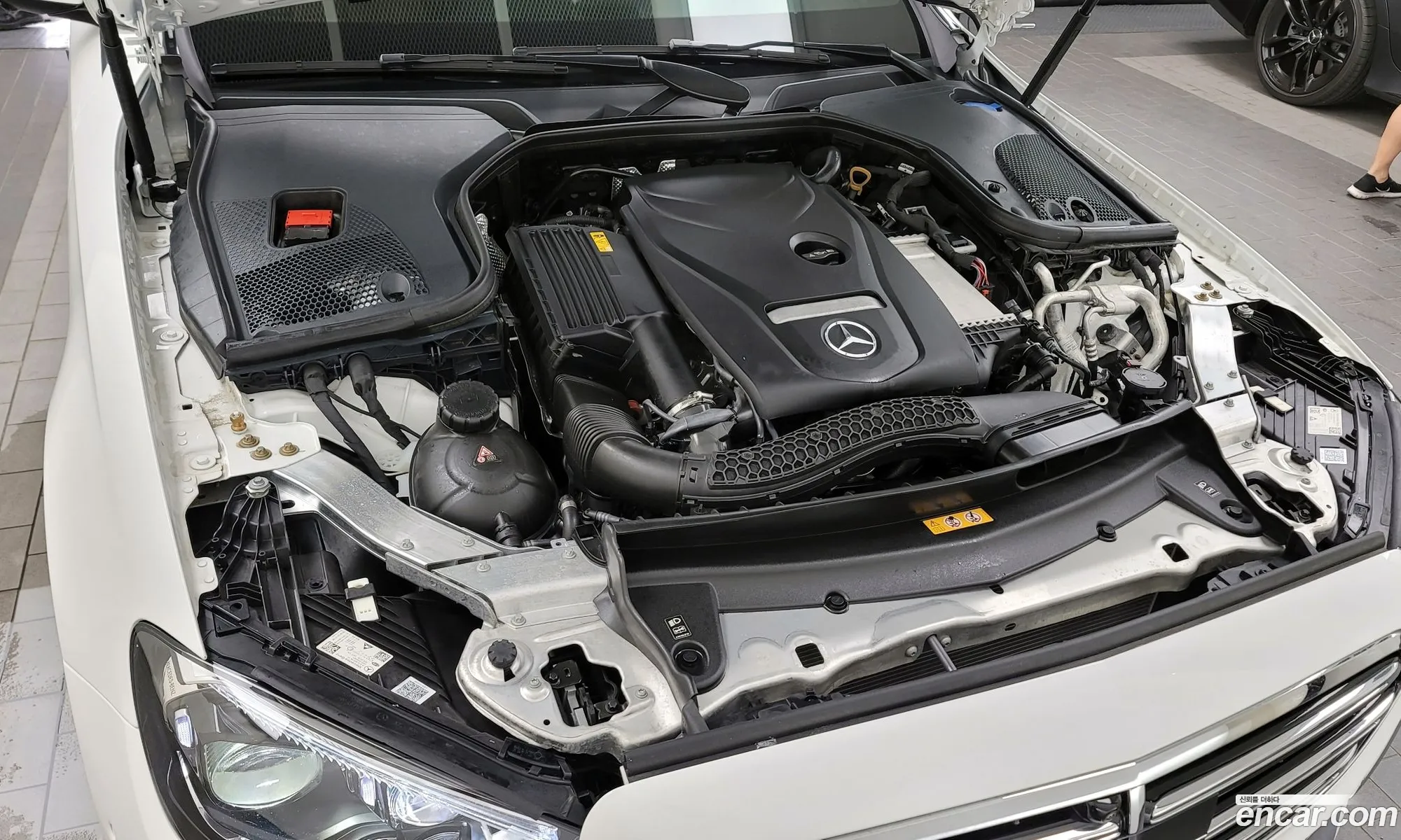 Mercedes-Benz E-Klasse E250 Exclusive 2023 - фотография 18404863
