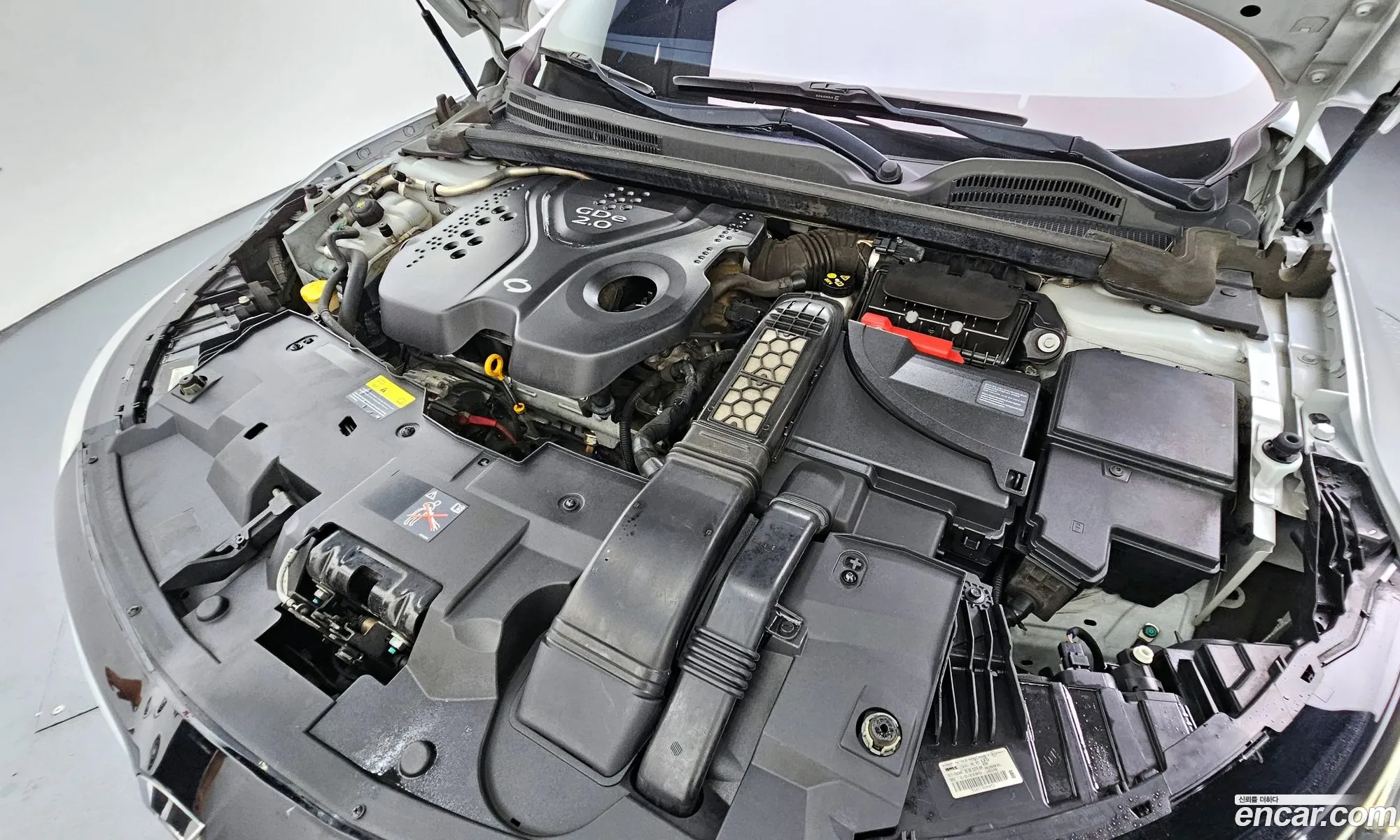 Renault Samsung Sm6 20Gde Le 2016 - фотография 1823537