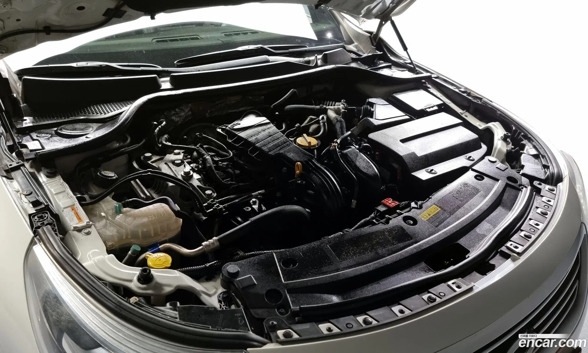 Renault Samsung Sm5 16Tce 2014 - фотография 1749451