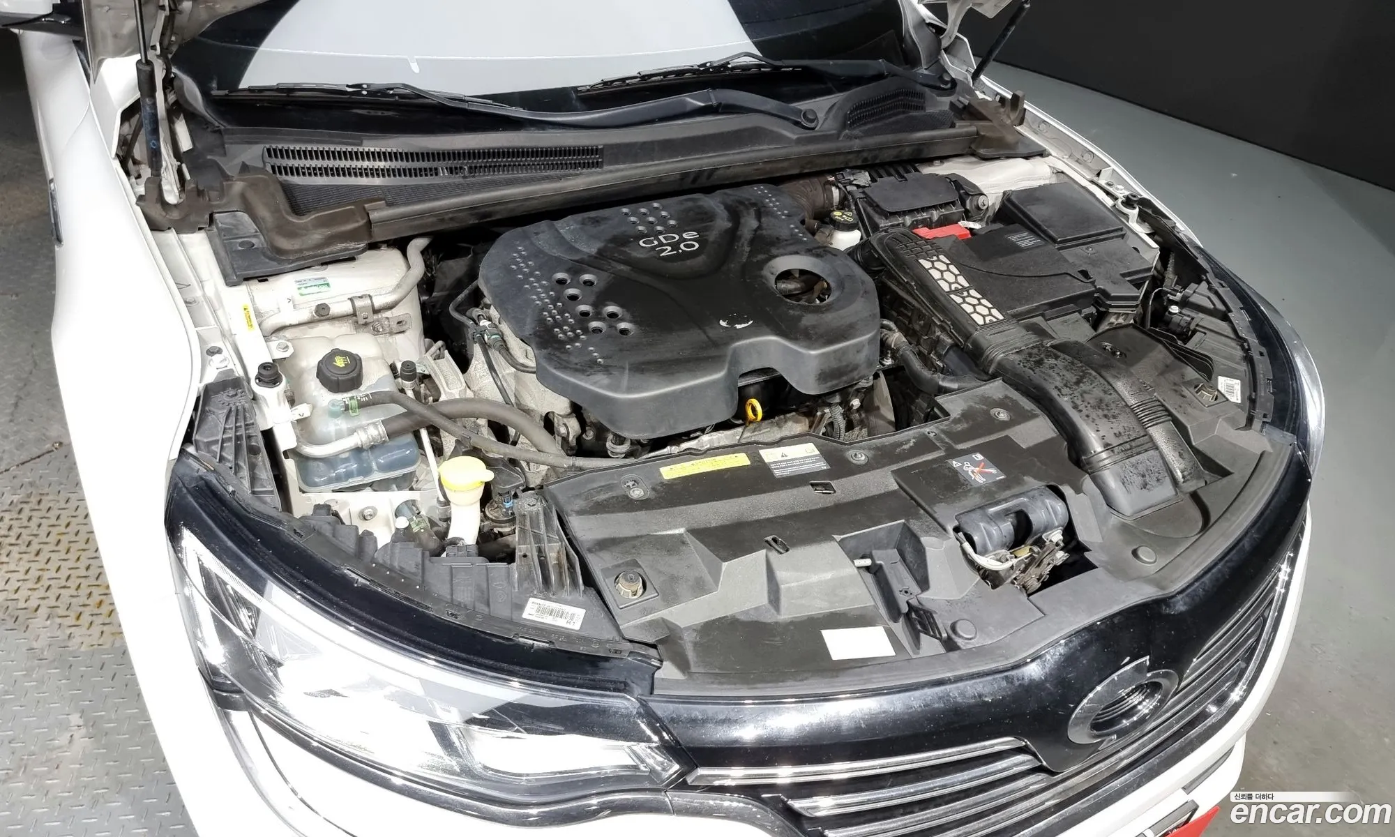 Renault Samsung Sm6 20Gdere 2017 - фотография 1646596