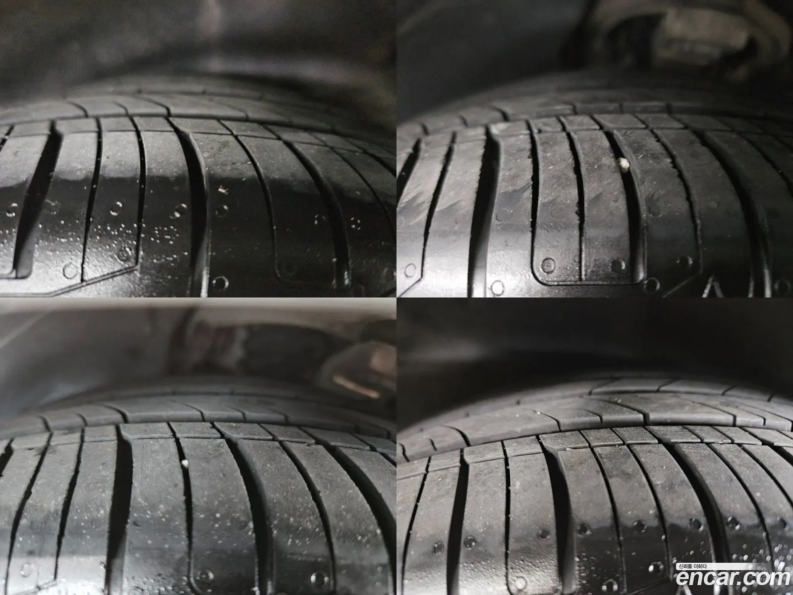 Korex Auto Trade - фотография 18516684