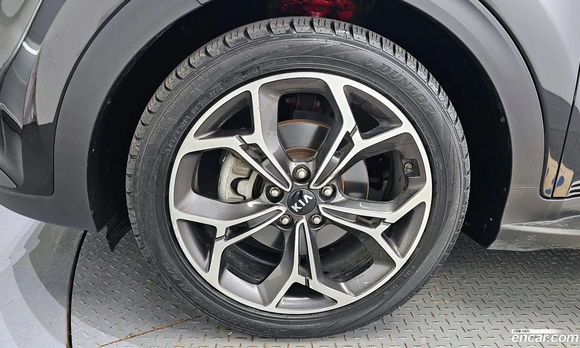 Korex Auto Trade - фотография 13509676