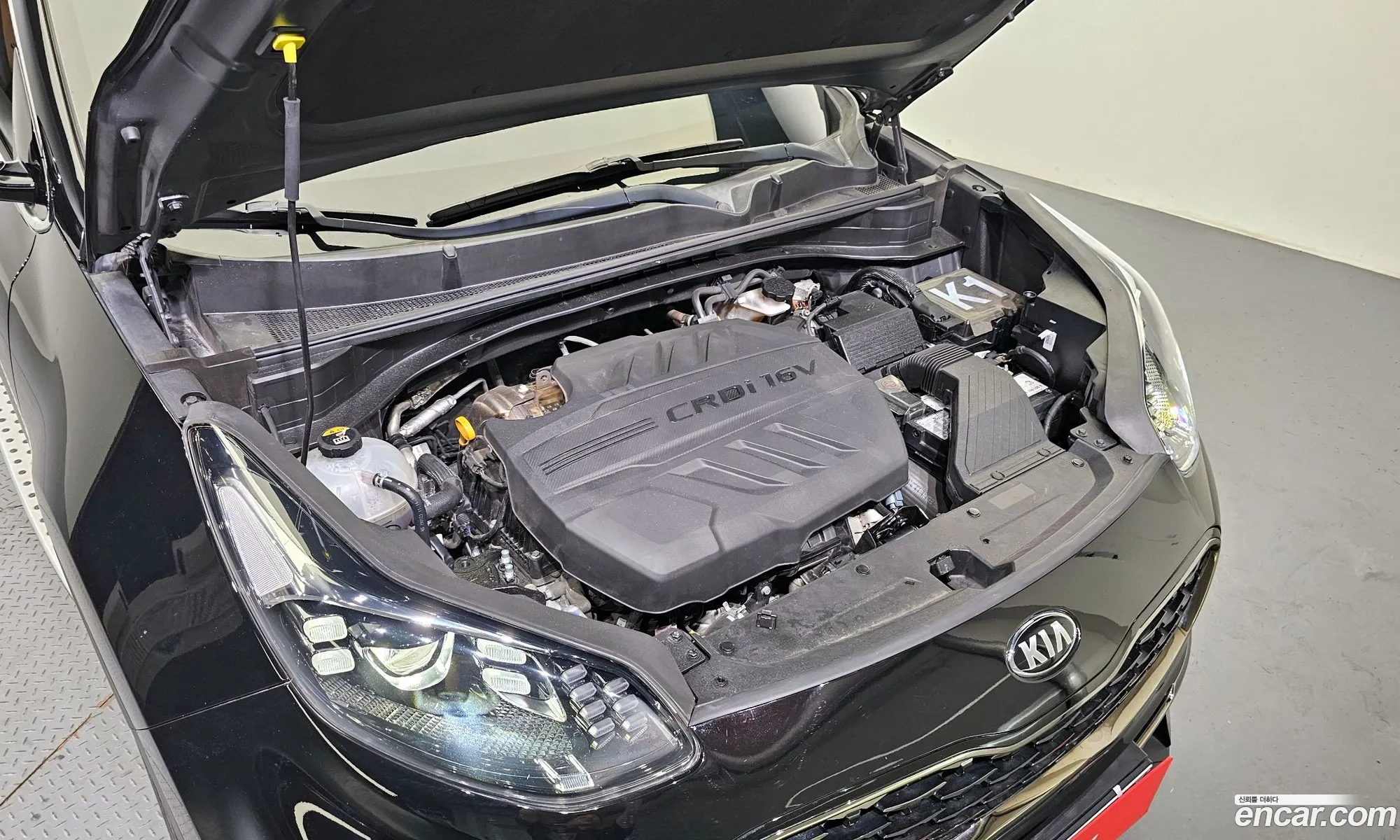Korex Auto Trade - фотография 13509678