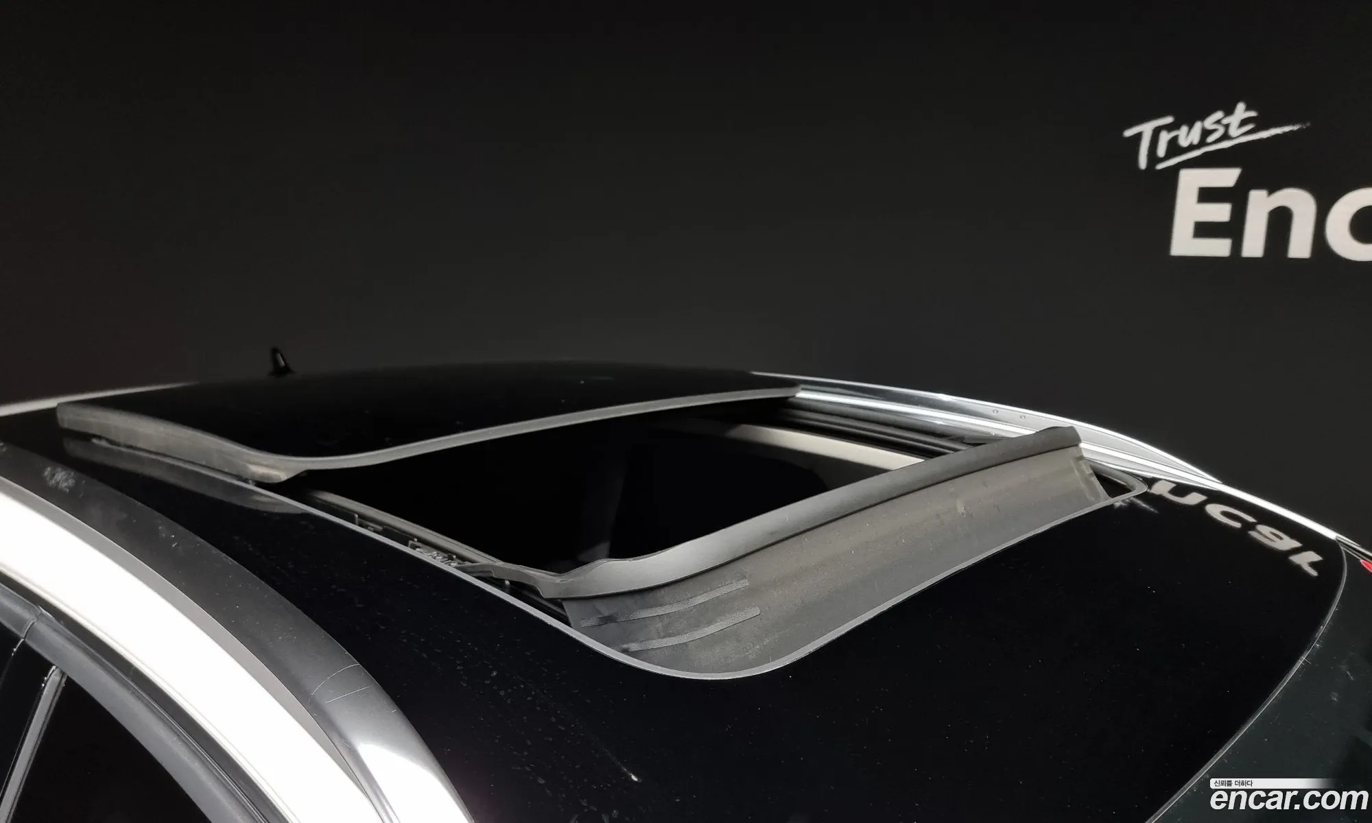 Korex Auto Trade - фотография 2582