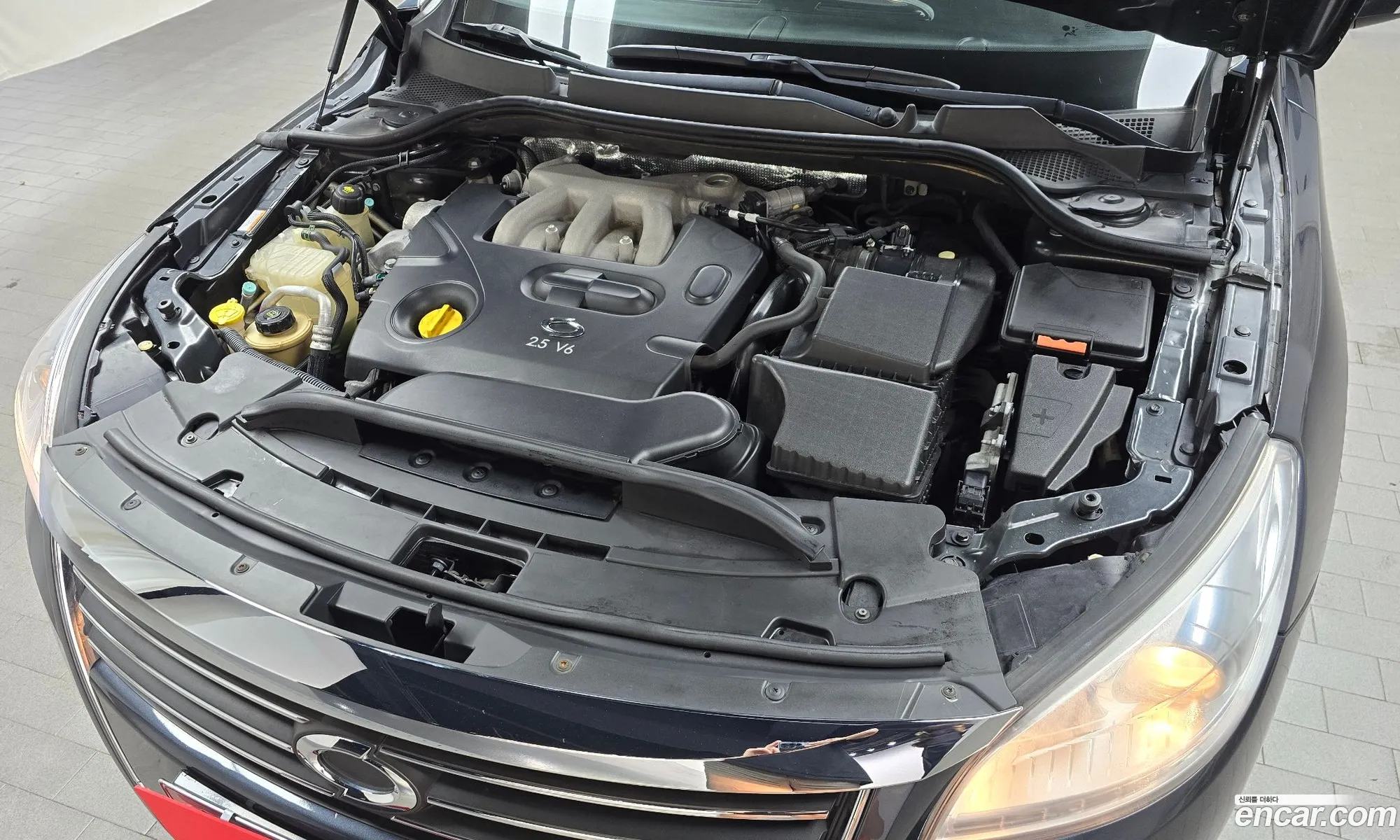Renault Samsung Sm7 Le 2012 - фотография 1869343