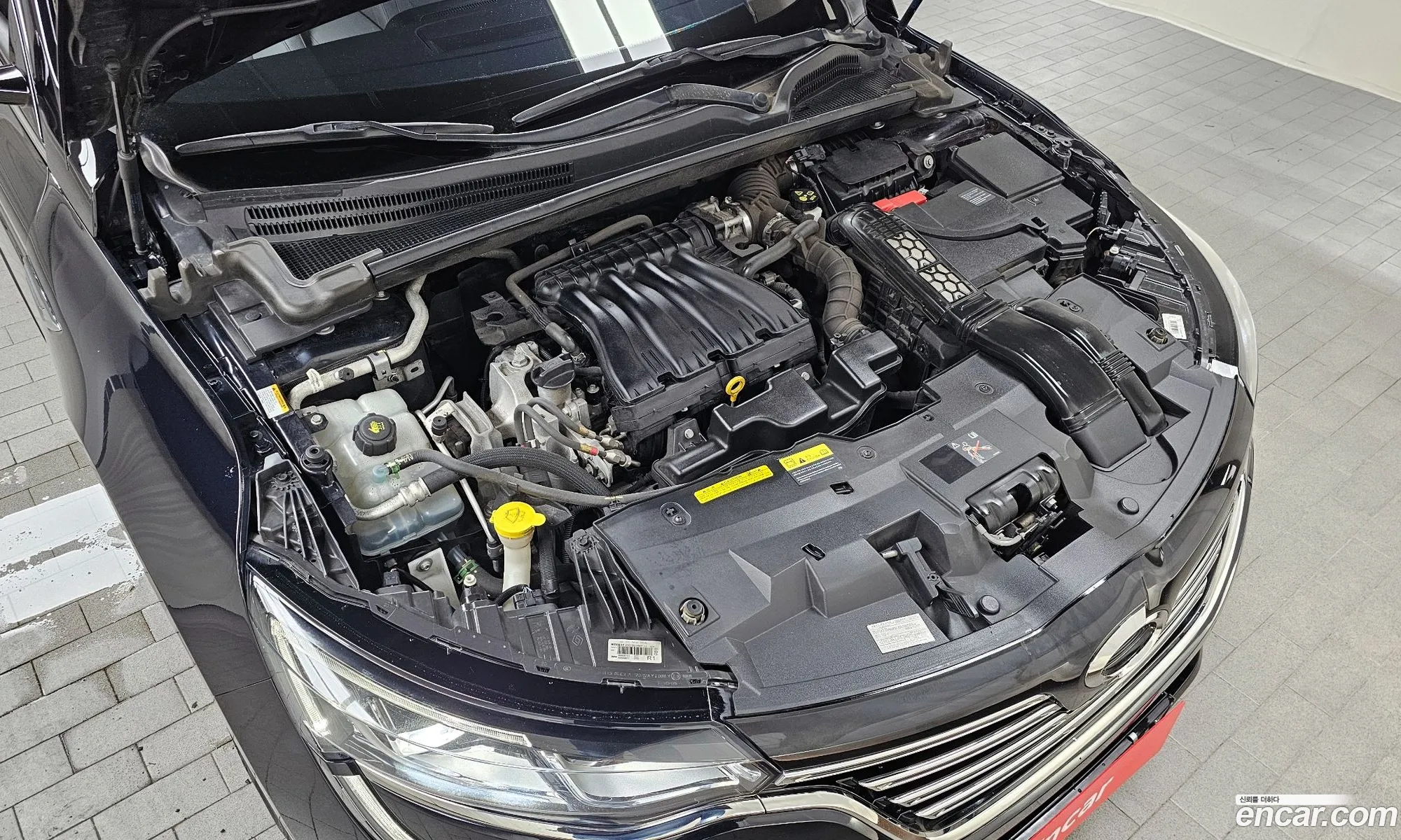 Renault Samsung Sm6 20 Lpe Re For The Disabled 2016 - фотография 1706054