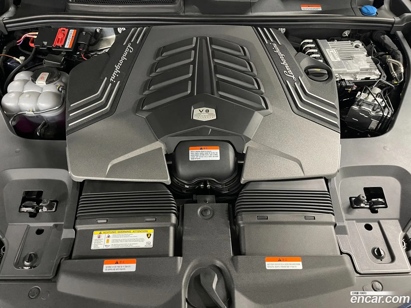Lamborghini Urus 40 V8 Performante 2024 - фотография 3750537