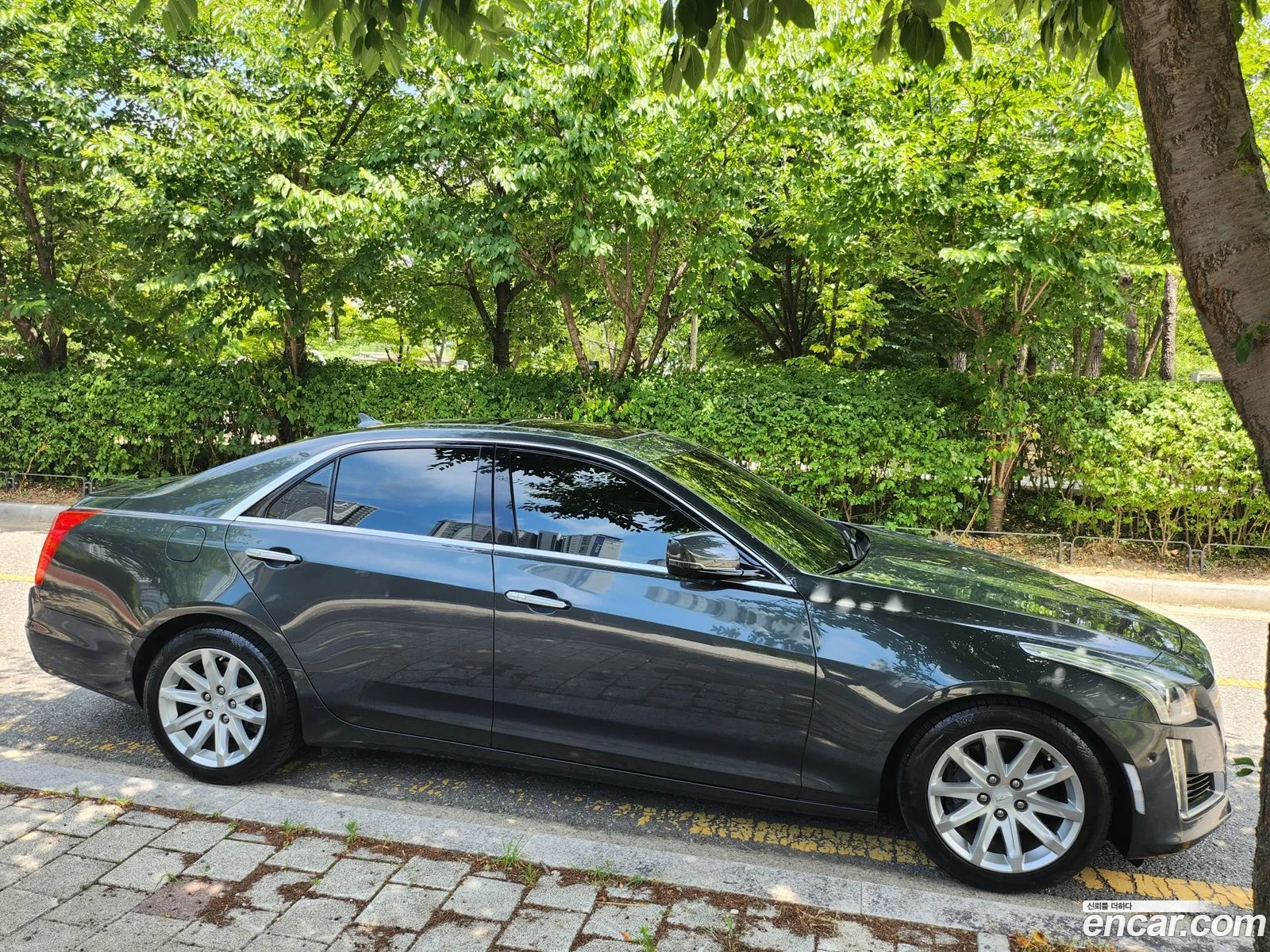 Korex Auto Trade - фотография 4637574
