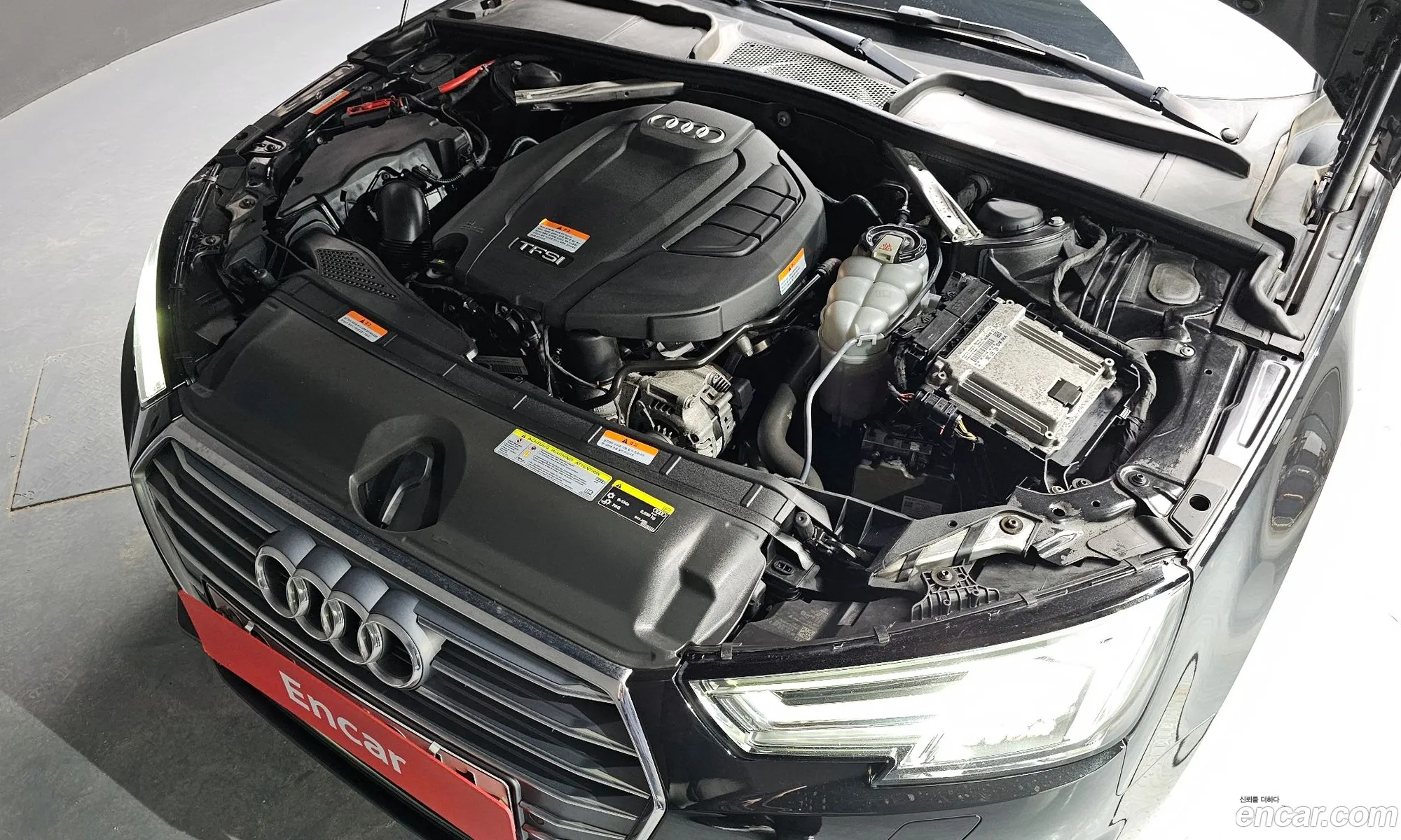 Korex Auto Trade - фотография 17512148