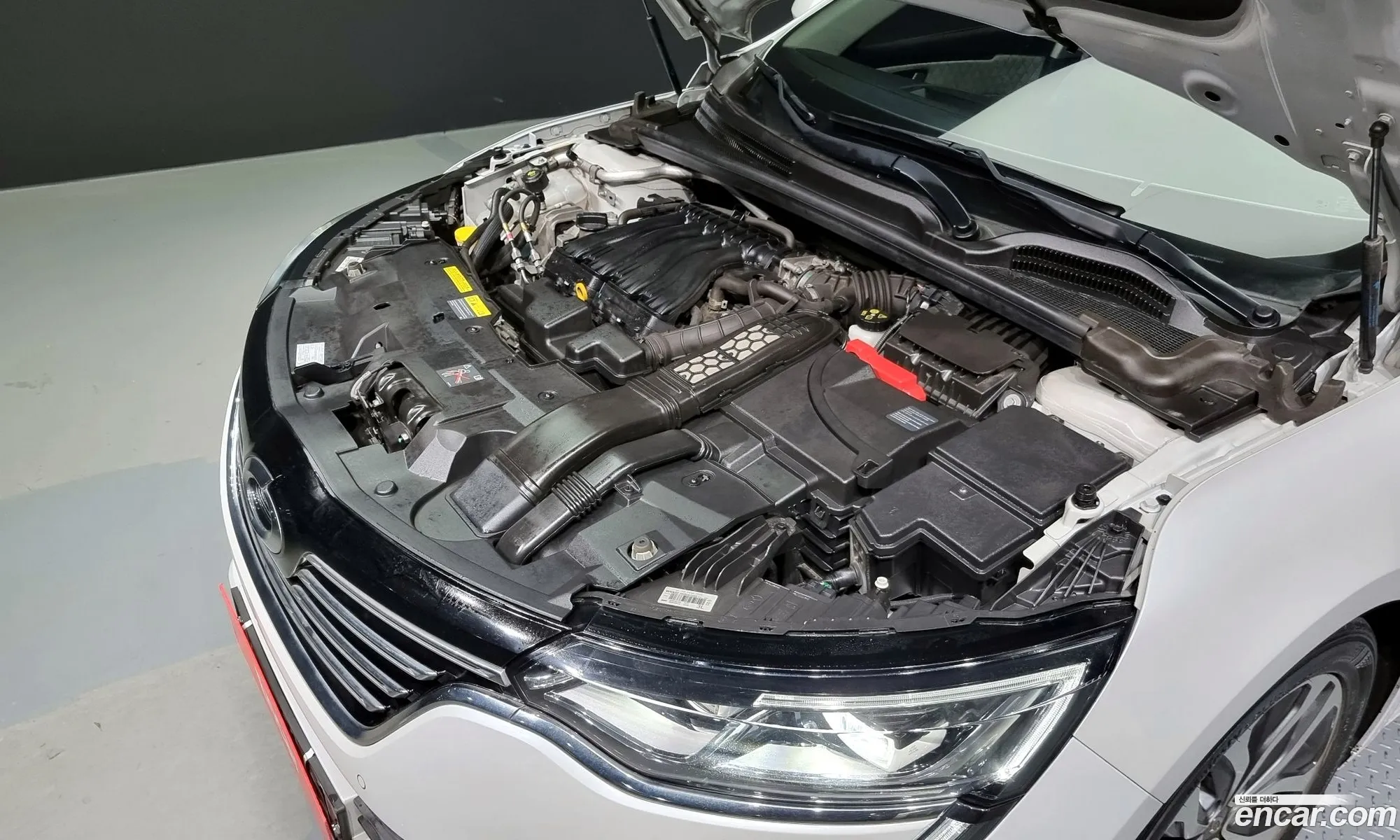 Renault Samsung Sm6 20 Lpe Re For The Disabled 2016 - фотография 1759627