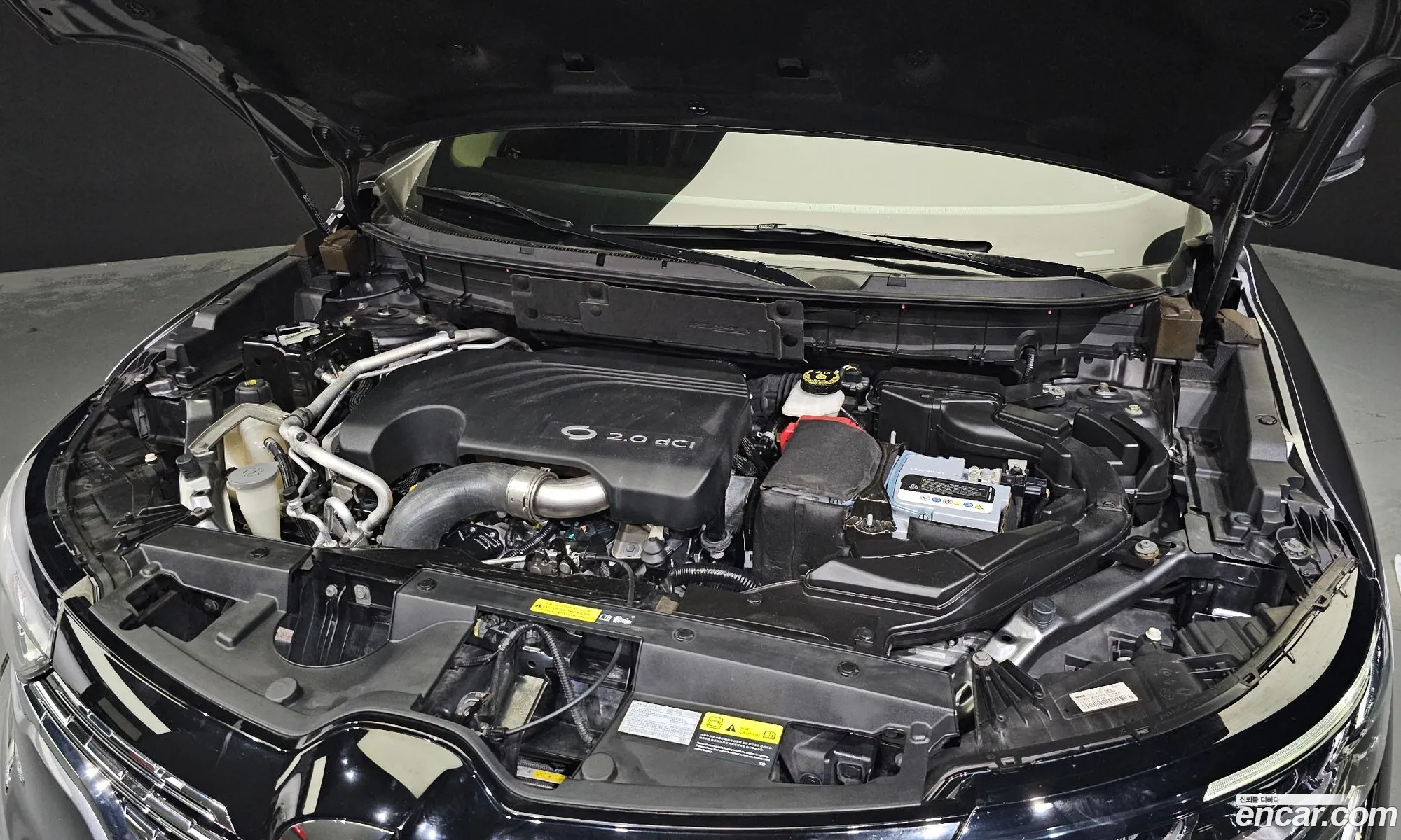 Renault Samsung Qm6 Diesel 2Wd Re 2017 - фотография 1686512