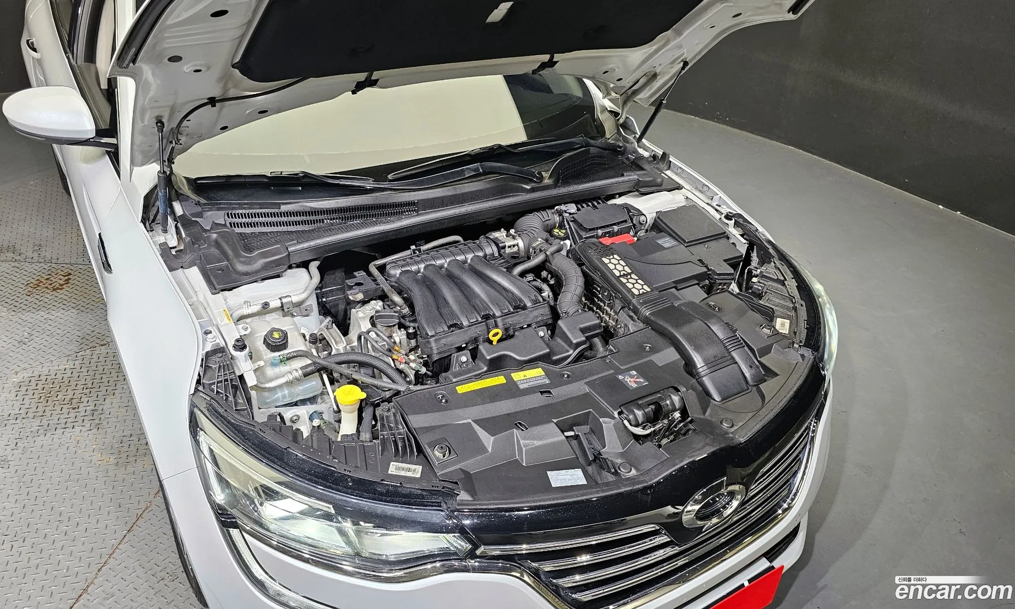 Renault Samsung Sm6 20 Lpe Re For The Disabled 2016 - фотография 1514930