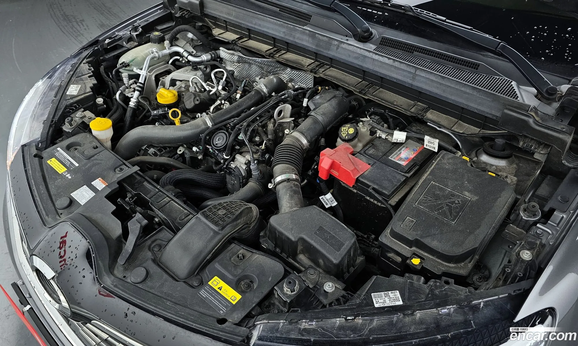 Renault Samsung Xm3 13 Tce Re 2020 - фотография 1759663