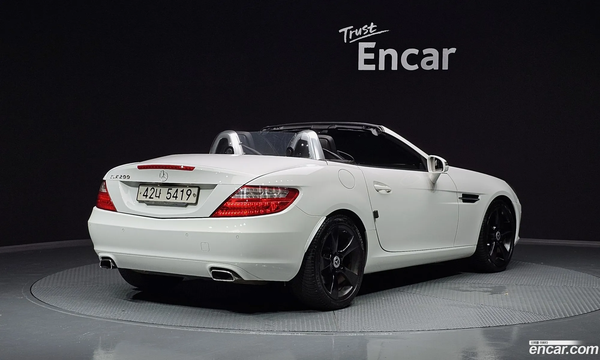 Mercedes-Benz Slk-Klasse Iii R172 200 Blue Efficiency 2014 - фотография 18422390