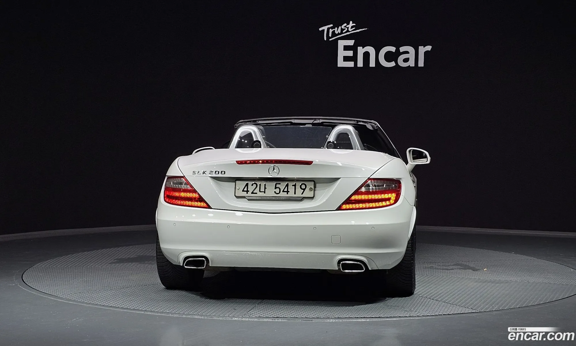 Mercedes-Benz Slk-Klasse Iii R172 200 Blue Efficiency 2014 - фотография 18422392