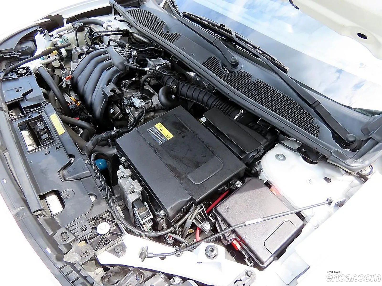 Korex Auto Trade - фотография 17511936