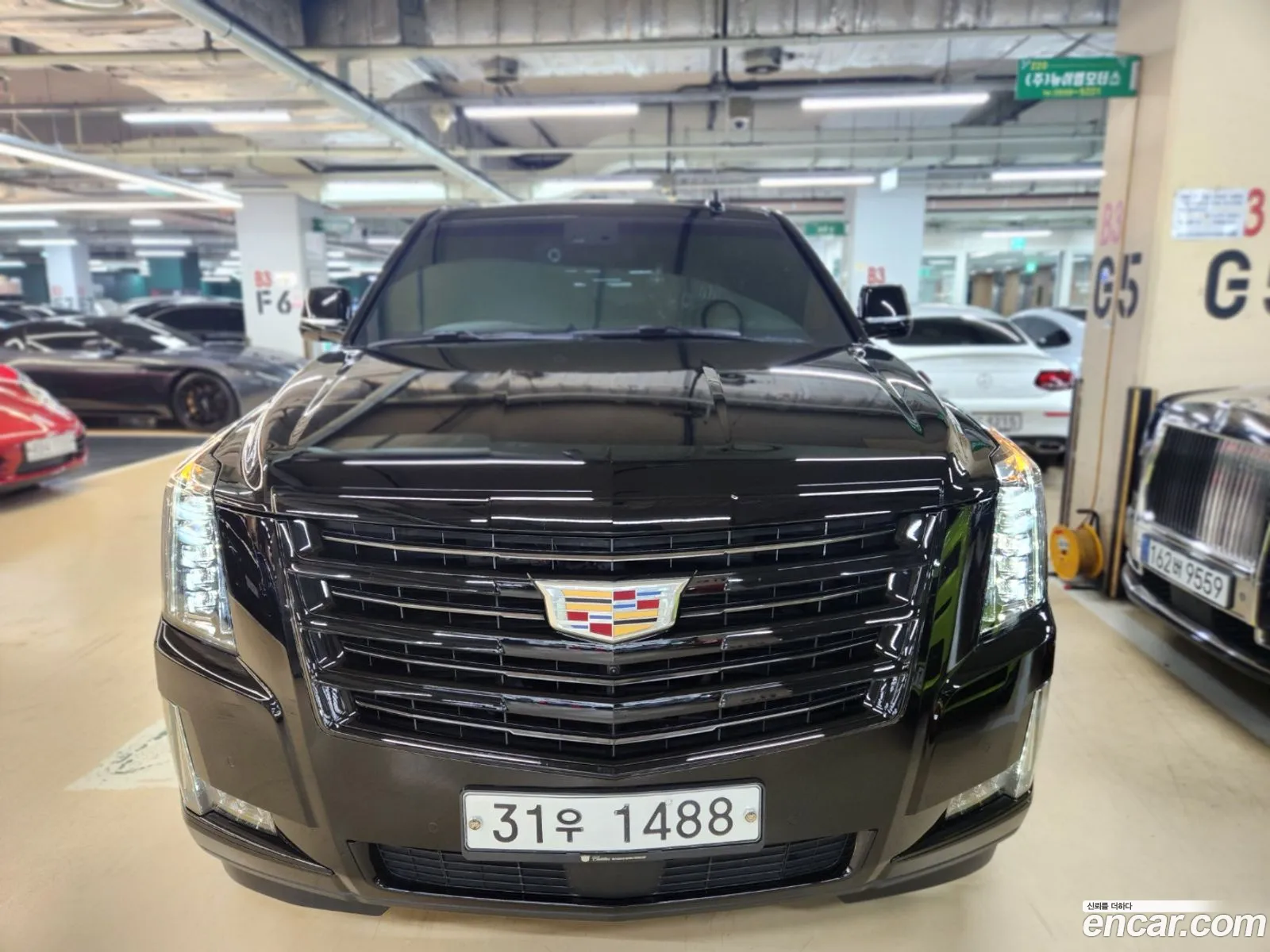 Cadillac Escalade Iv 62 Esv 2019 - фотография 4570923