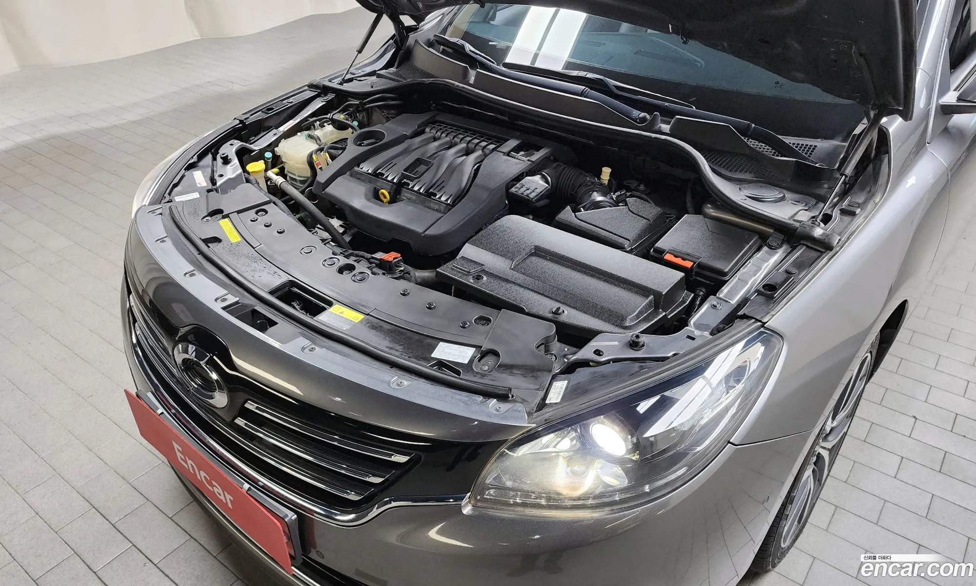 Renault Samsung Sm7 Lpli 20 Lpe For The Disabled 2019 - фотография 1749439