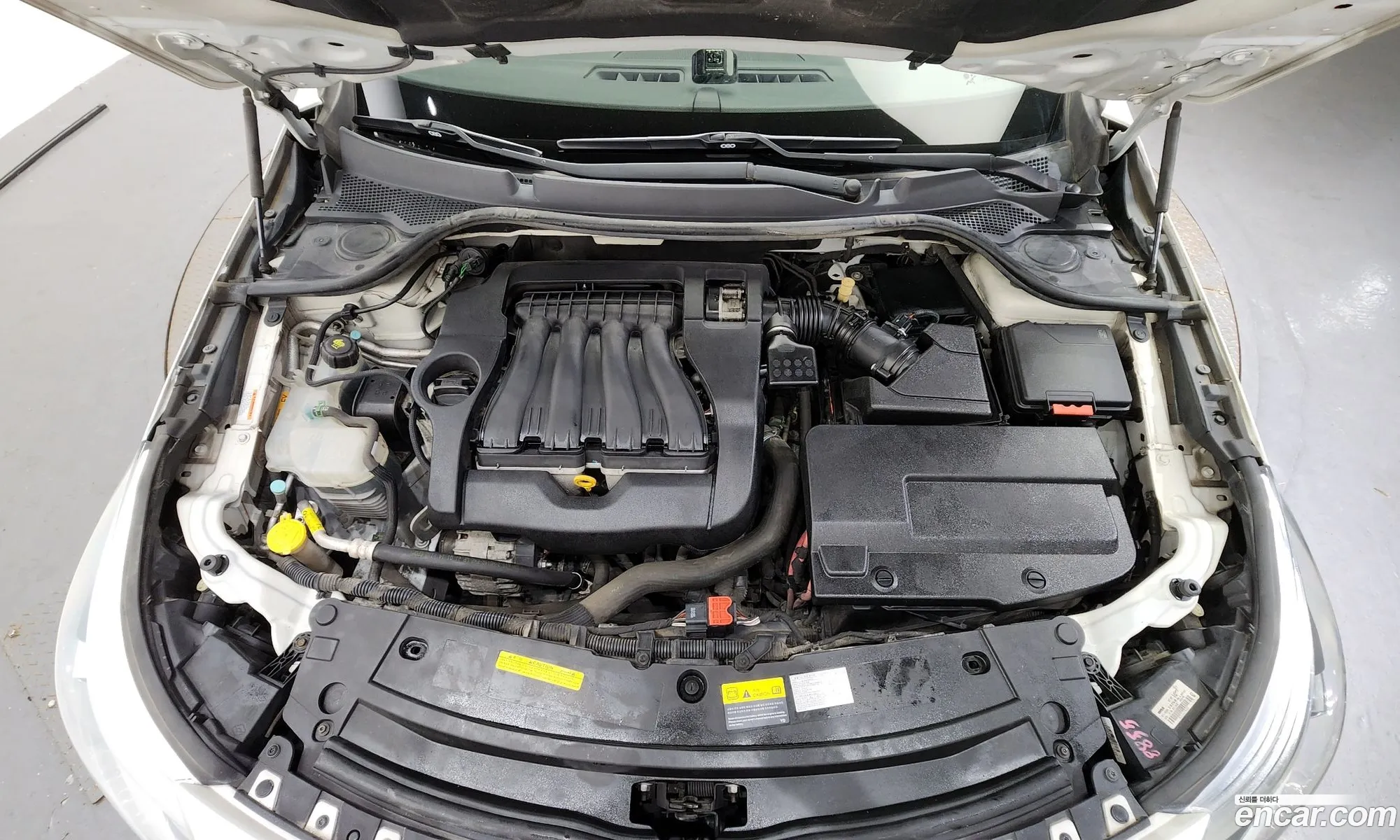 Renault Samsung Sm5 Se 2014 - фотография 1514881