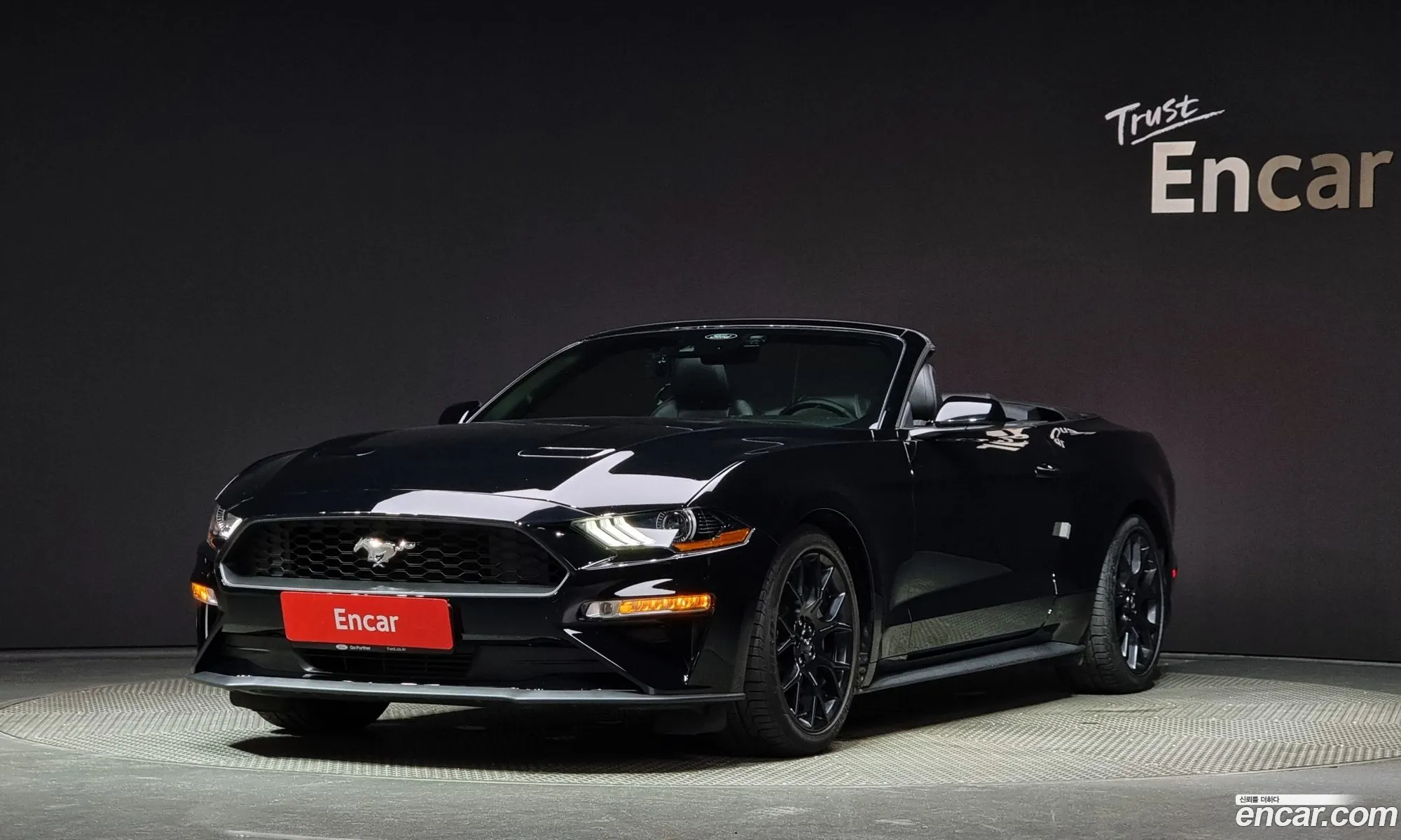 Ford Mustang Vi Convertible 2021 - фотография 15718199