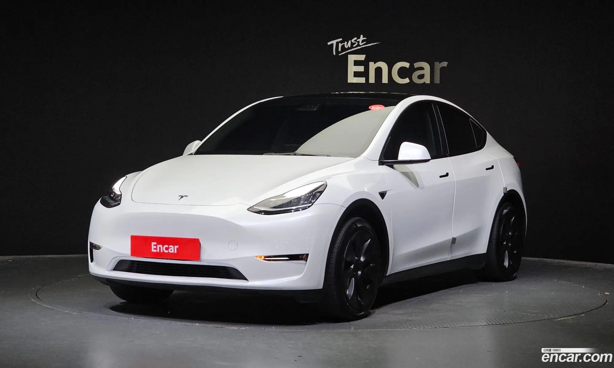 Tesla Model Y I Standard Range 2021 - фотография 15678293
