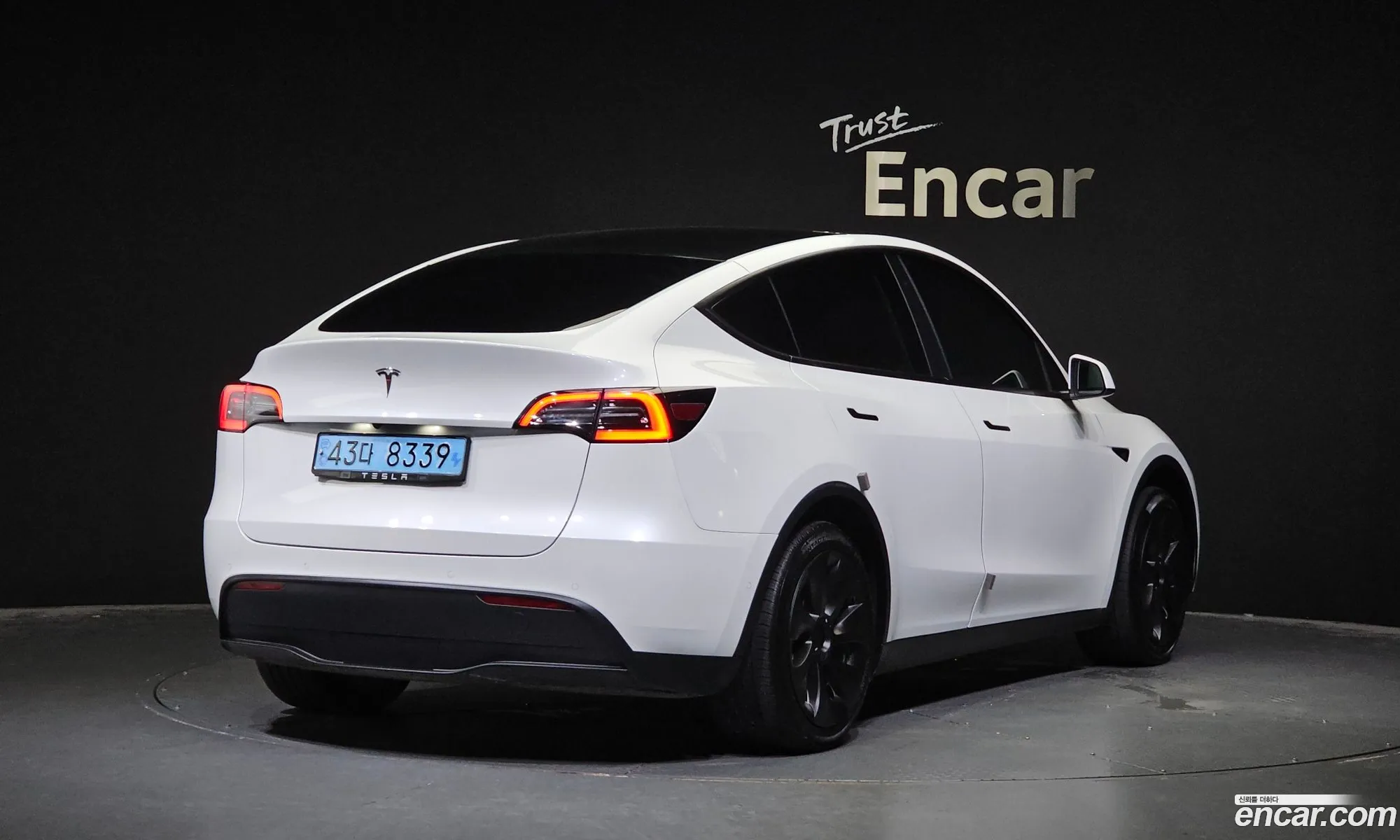 Tesla Model Y I Standard Range 2021 - фотография 15678294