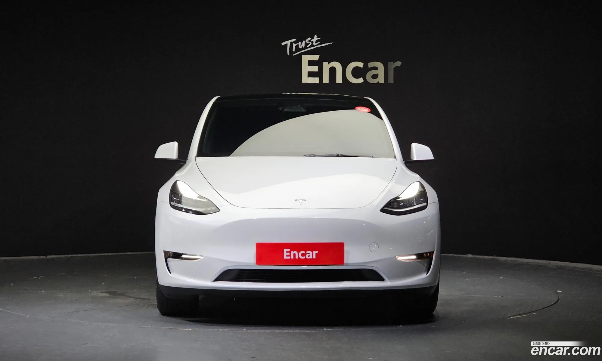 Tesla Model Y I Standard Range 2021 - фотография 15678295
