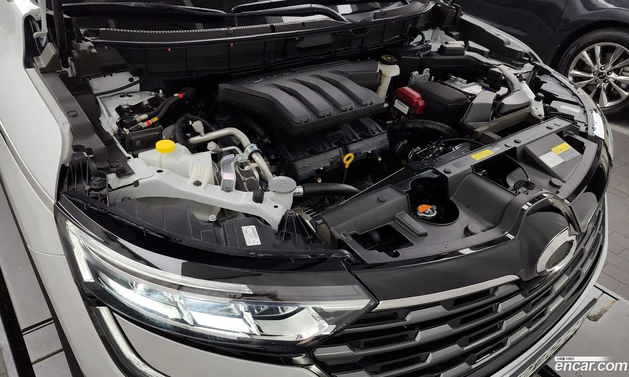 Renault Samsung Qm6 20 Lpe Le 2Wd 2024 - фотография 1657160