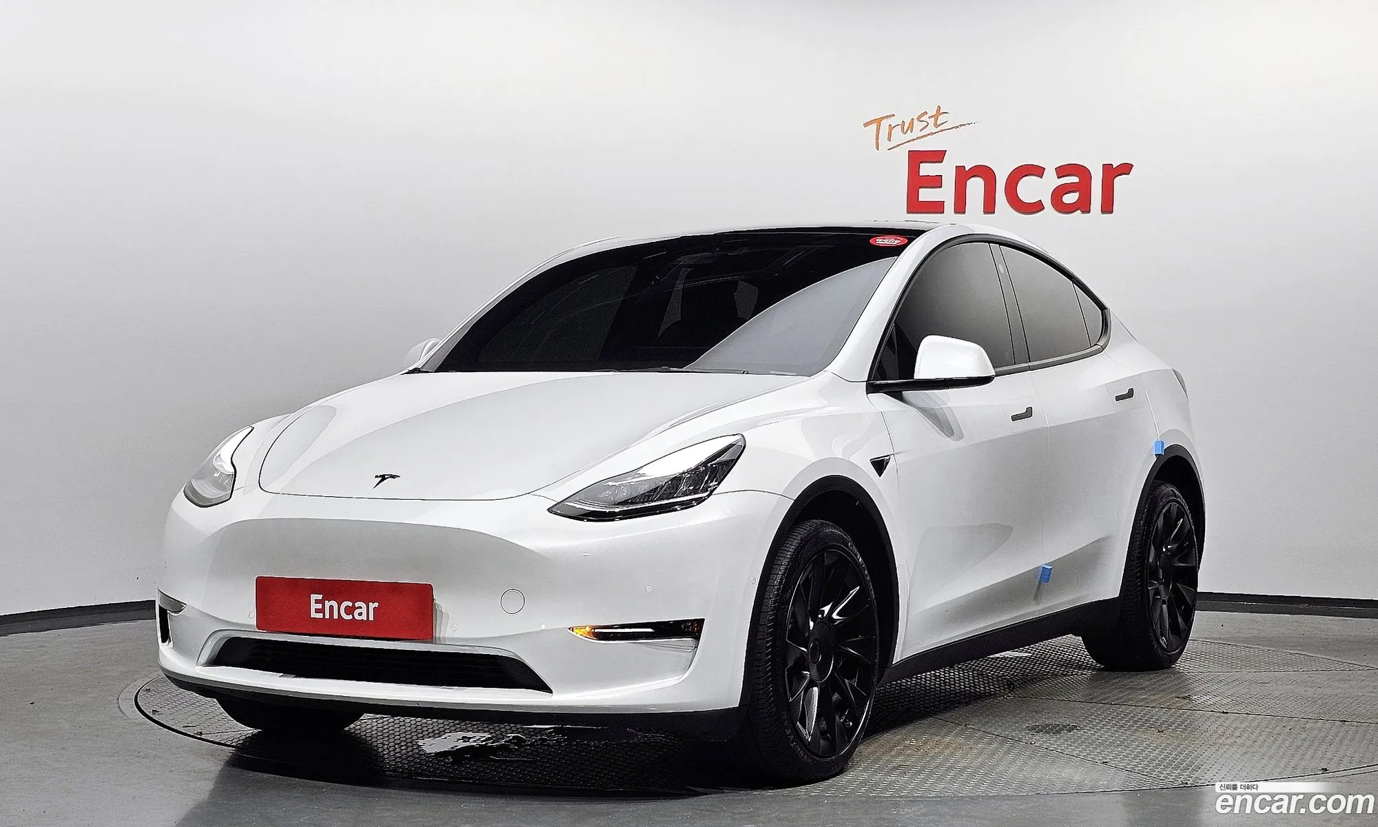 Tesla Model Y I Long Range 2022 - фотография 15678306