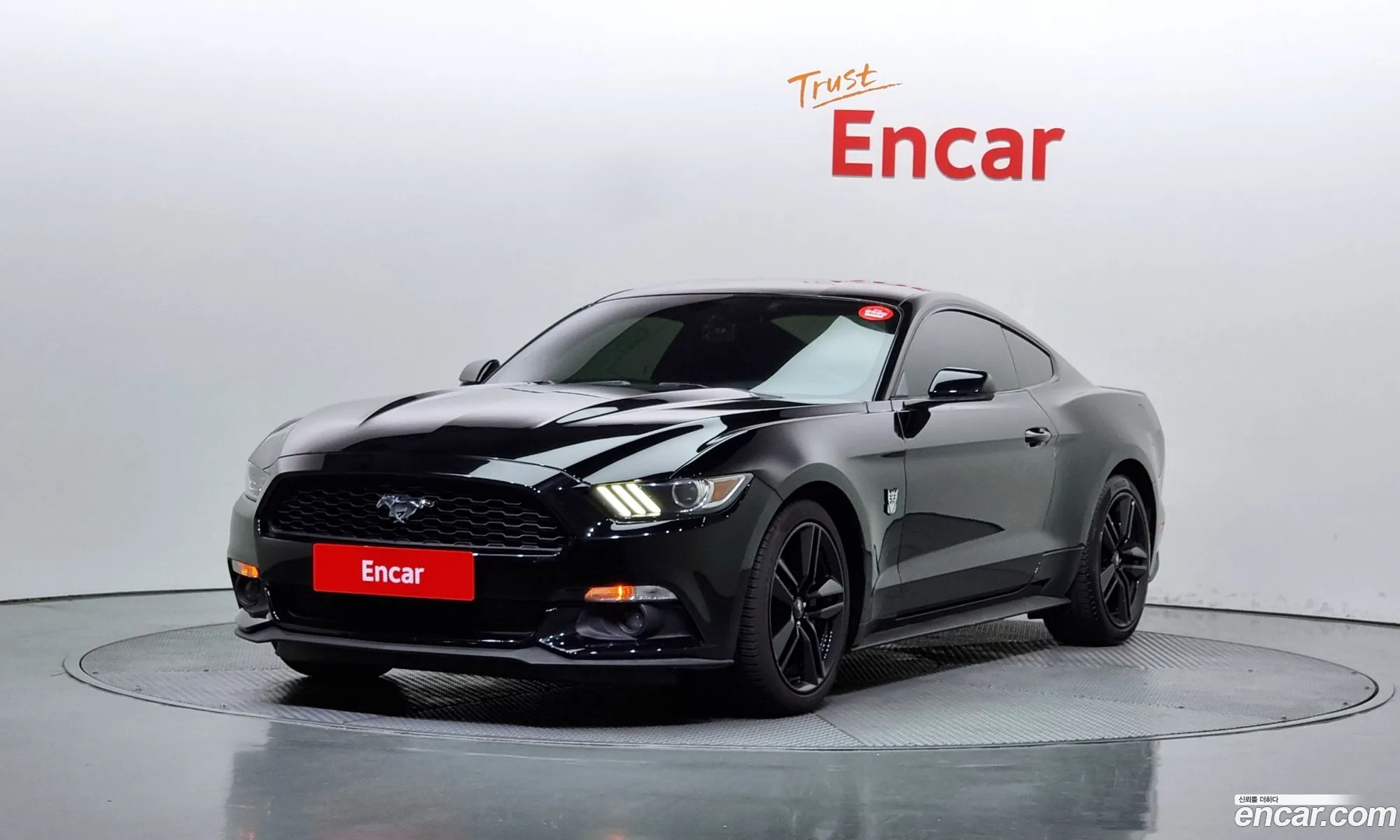 Ford Mustang Coupe - фотография 15718247